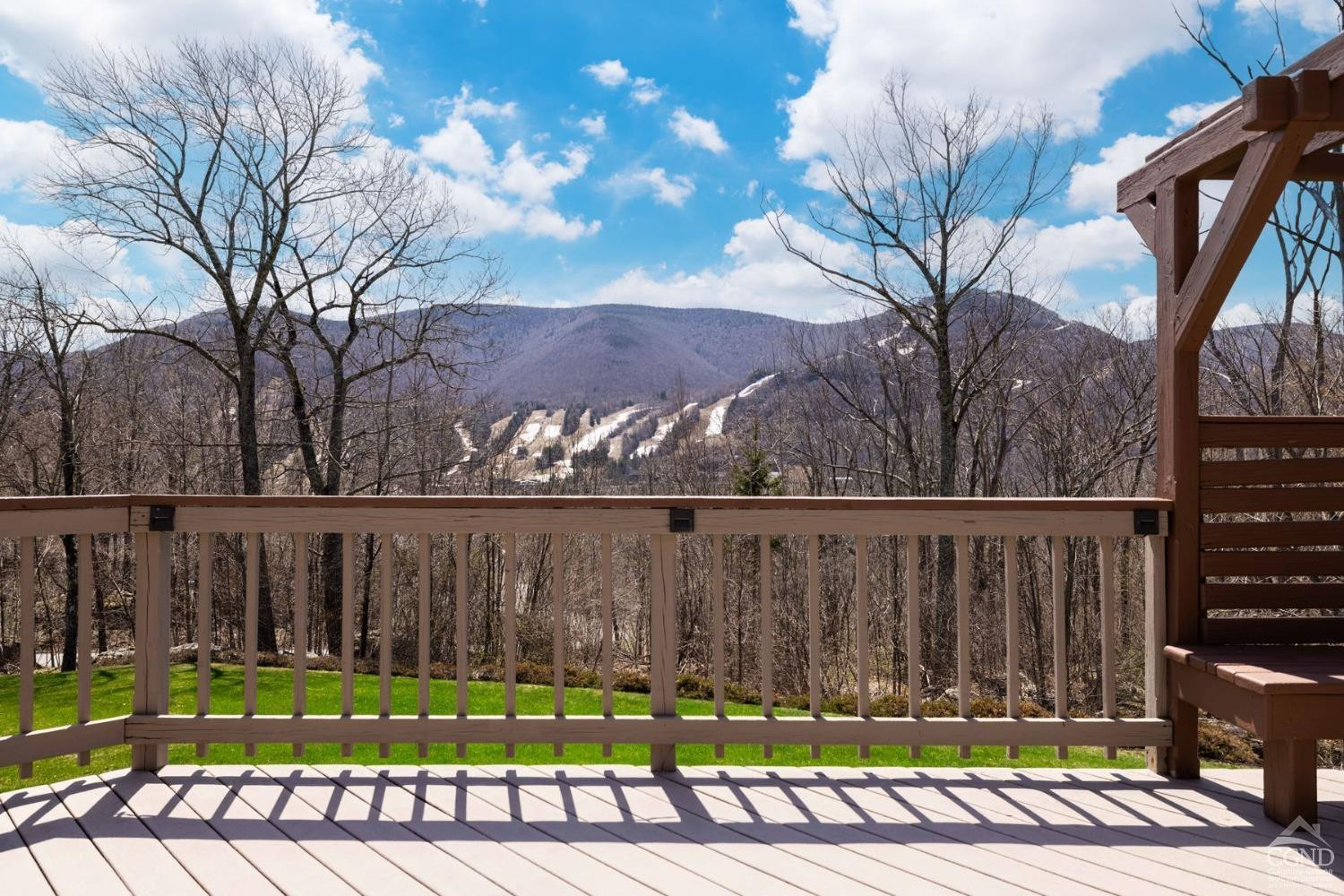 Hunter, New York, 12442, United States, 4 Bedrooms Bedrooms, ,5 BathroomsBathrooms,Residential,For Sale,1792843
