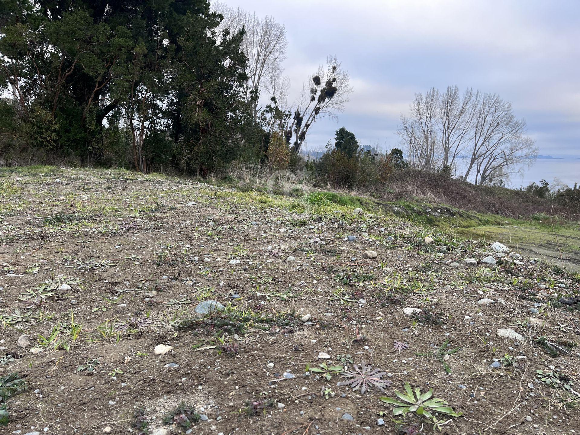 Futrono, Chile, ,Residential,For Sale,1913804