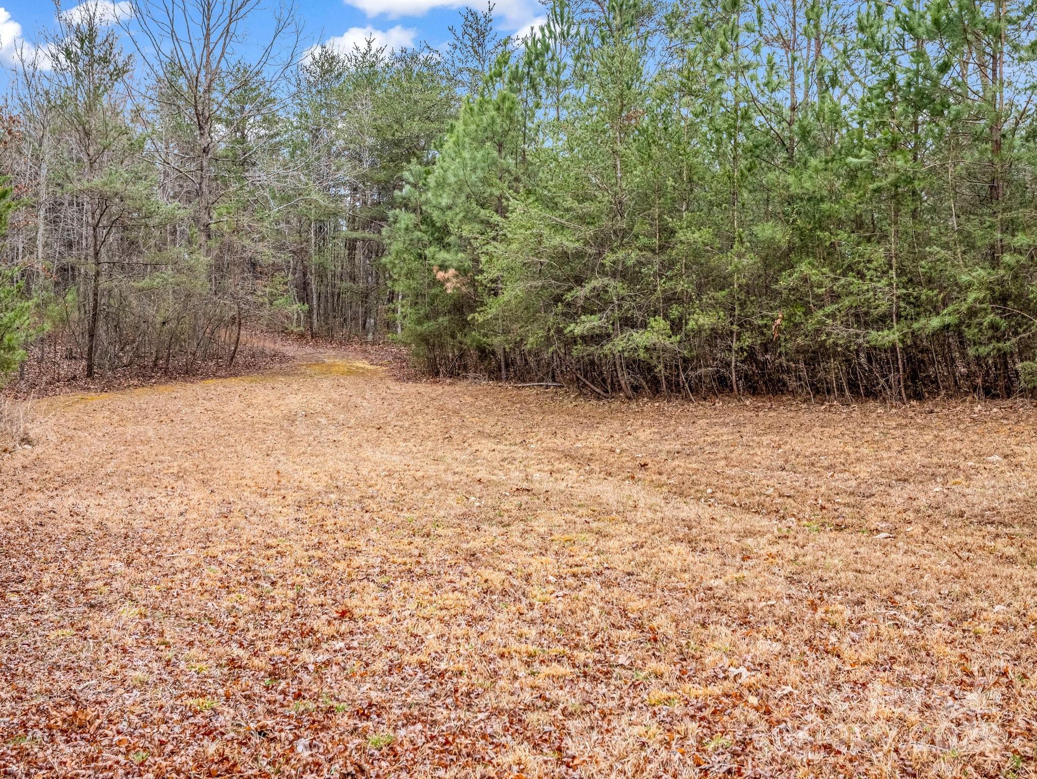 Tryon, North Carolina, 28782, United States, 3 Bedrooms Bedrooms, ,3 BathroomsBathrooms,Residential,For Sale,1914203