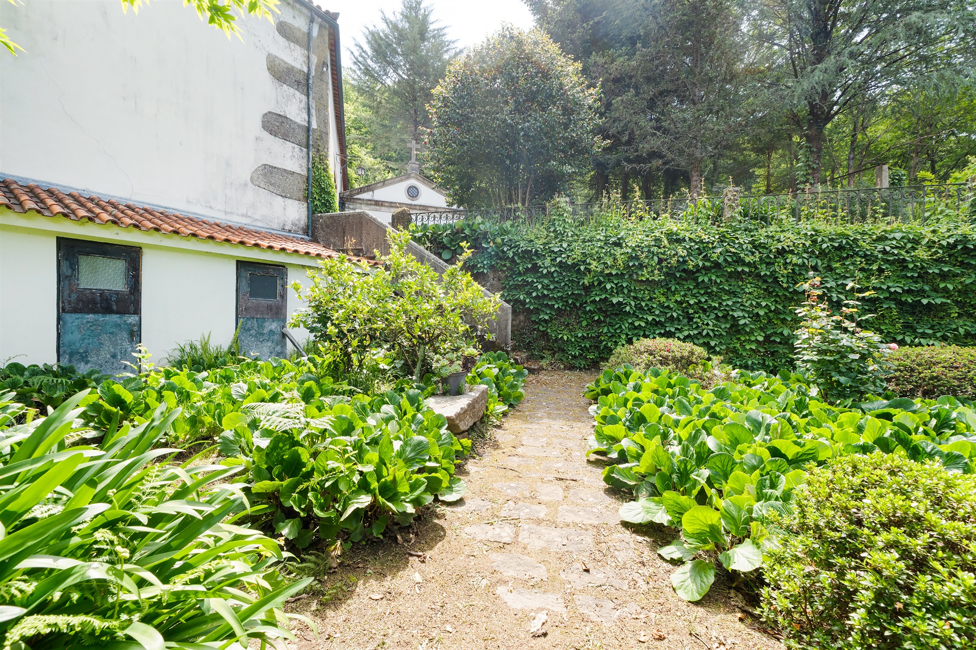  Farm, 10 bedrooms, for Sale - 物件實景
