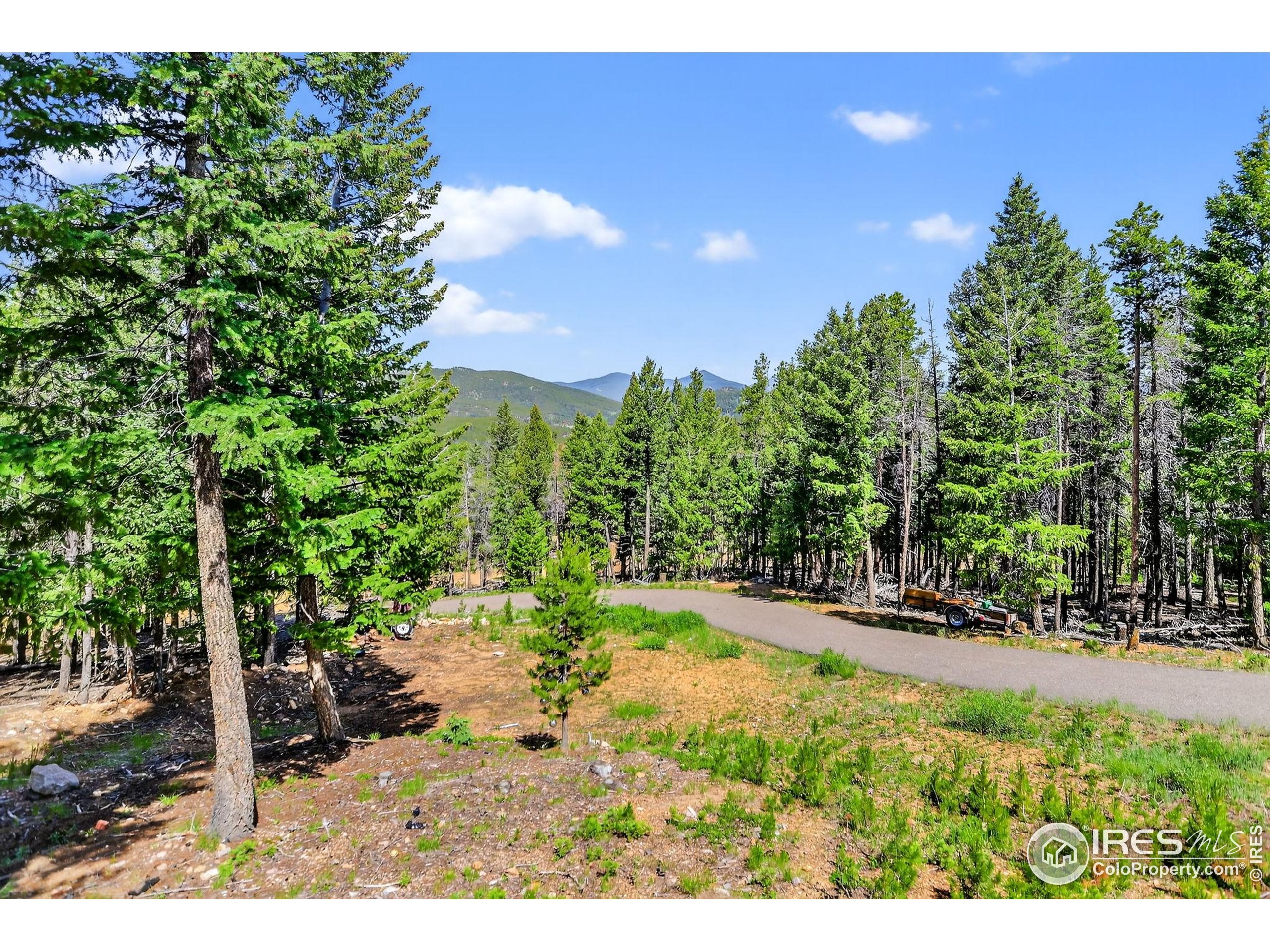 Conifer, Colorado, 80433, United States, 3 Bedrooms Bedrooms, ,2 BathroomsBathrooms,Residential,For Sale,1991521