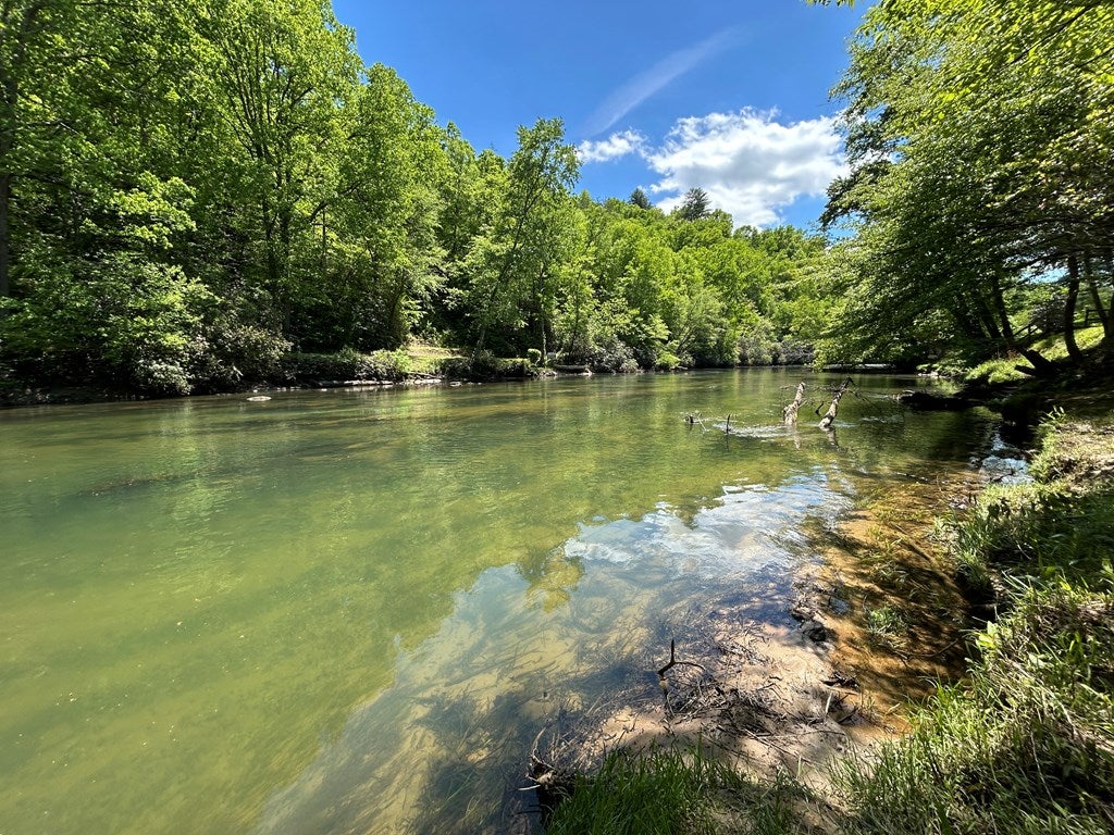 Mineral Bluff, Georgia, 30559, United States, 4 Bedrooms Bedrooms, ,5 BathroomsBathrooms,Residential,For Sale,1858917