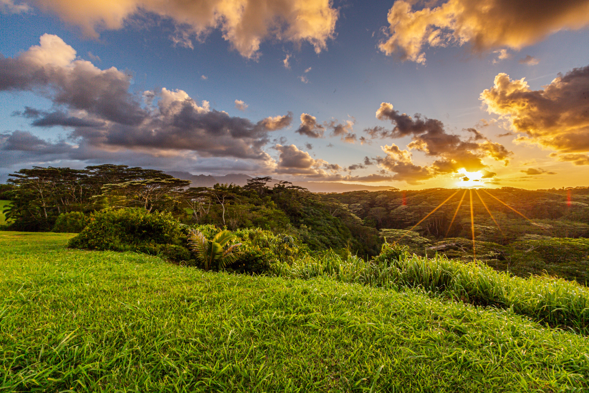  4858 Kahiliholo Rd, Unit #3 Kilauea, HI, 96754 - 物件實景