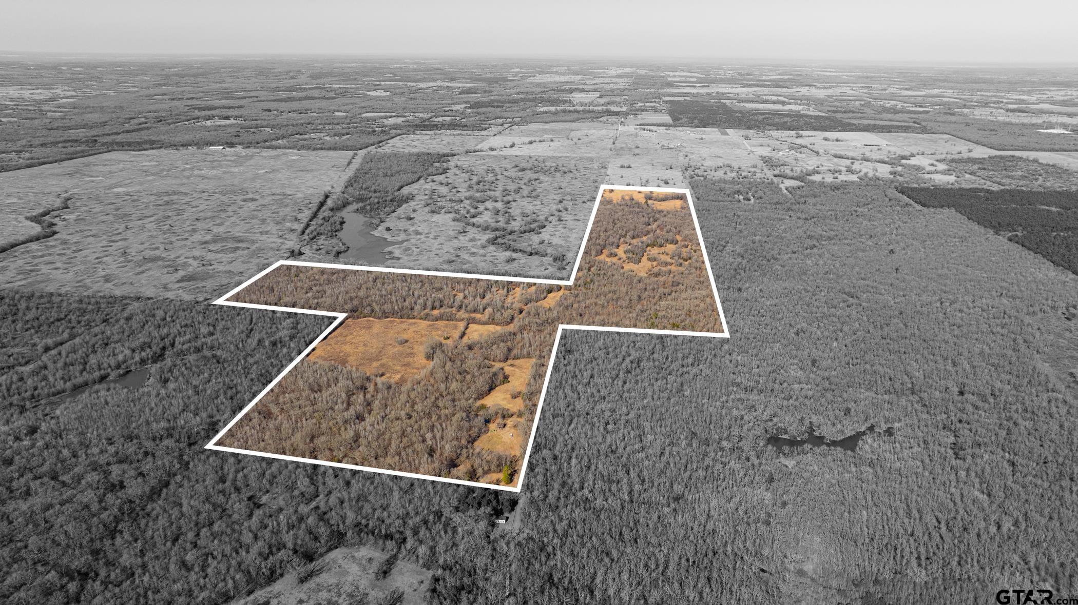 Dekalb, Texas, 75559, United States, ,Land,For Sale,1983481