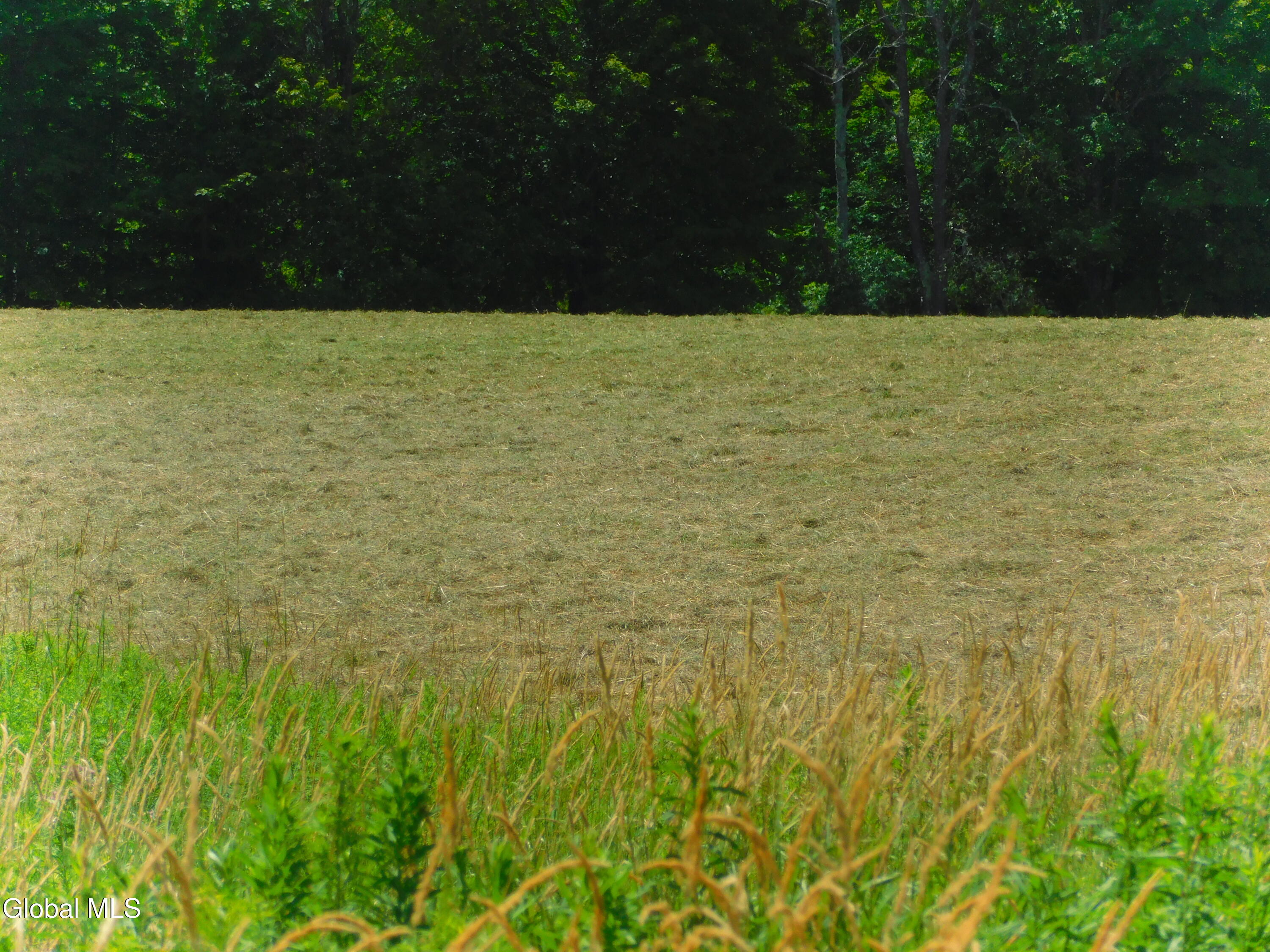 Broome, New York, 12122, United States, 4 Bedrooms Bedrooms, ,3 BathroomsBathrooms,Residential,For Sale,1979898