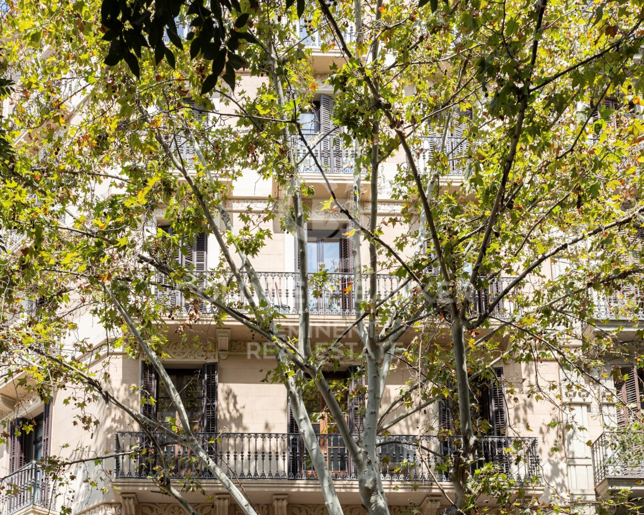 Barcelona, Barcelona, Eixample, La Nova Esquerra d, Barcelona, Catalonia, ES, 3 Bedrooms Bedrooms, ,2 BathroomsBathrooms,Residential,For Sale,Barcelona, Barcelona, Eixample, La Nova Esquerra d,1579782