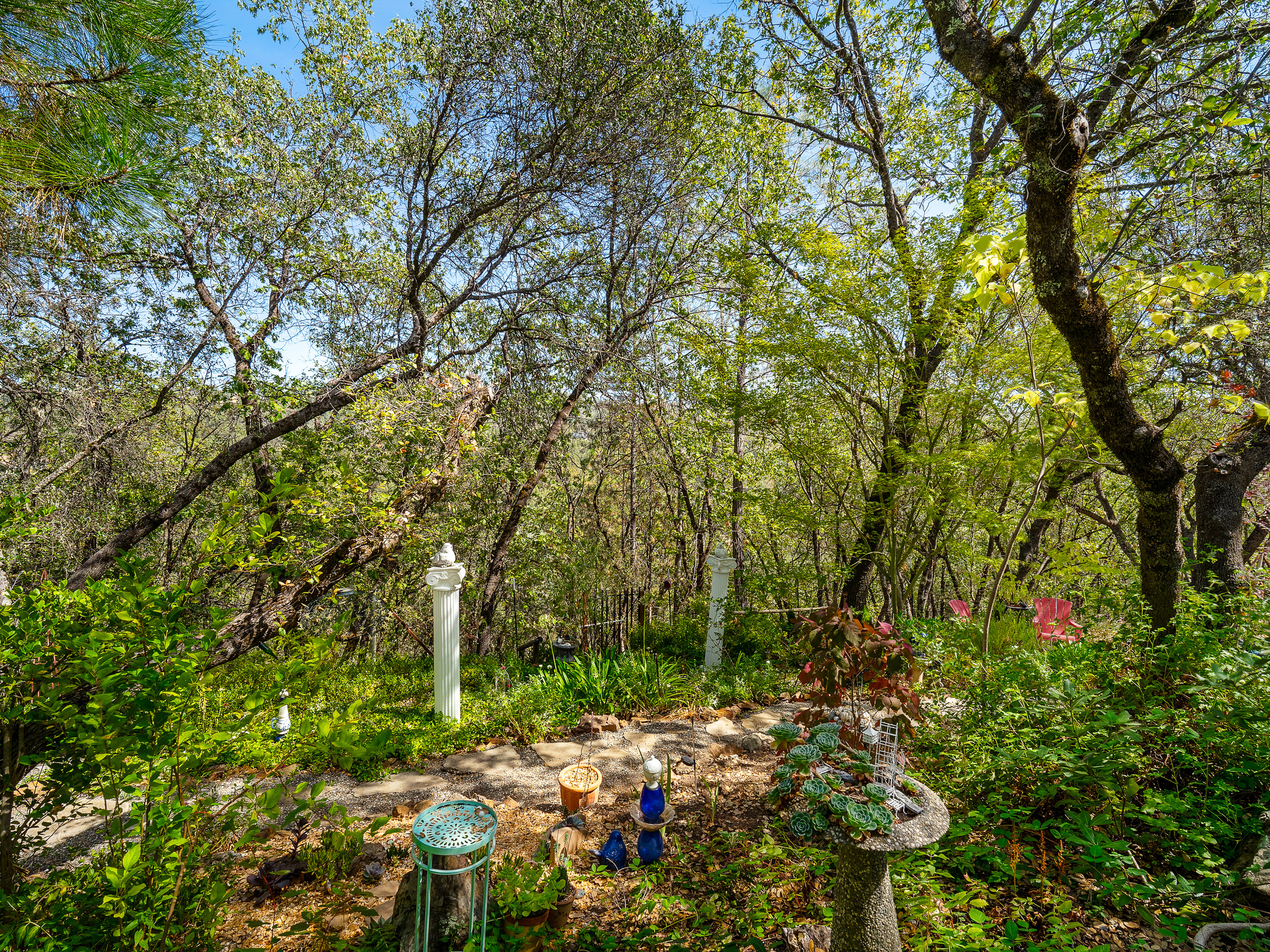  4711 Meadowview Acres Road, Cool, CA 95614 - 物件實景