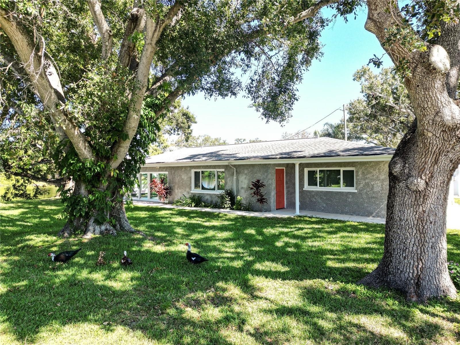 SEMINOLE, Florida, 33772, United States, 3 Bedrooms Bedrooms, ,2 BathroomsBathrooms,Residential,For Sale,1981343