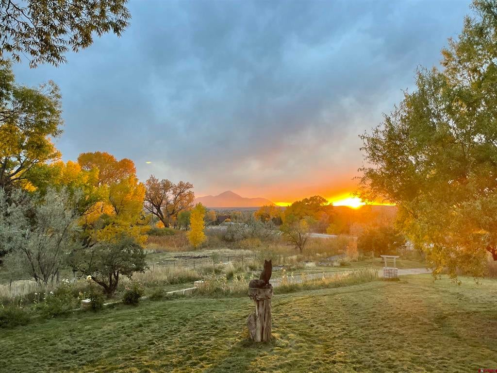 Highway 145 , Dolores, CO 81323 #1