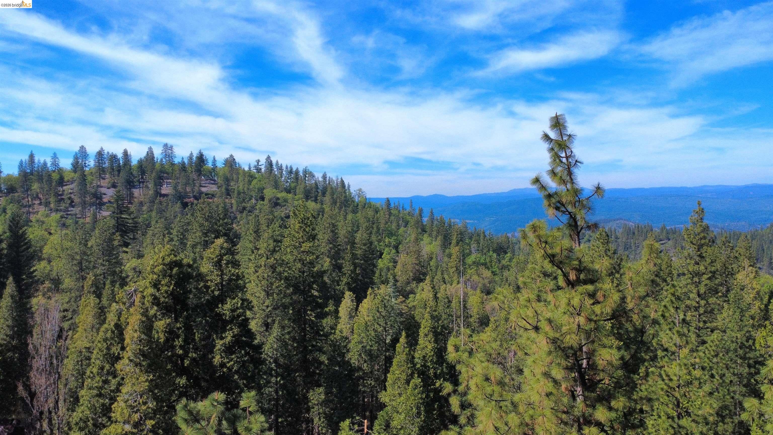 Sonora, California, 95370, United States, 1 Bedroom Bedrooms, ,1 BathroomBathrooms,Residential,For Sale,2034419