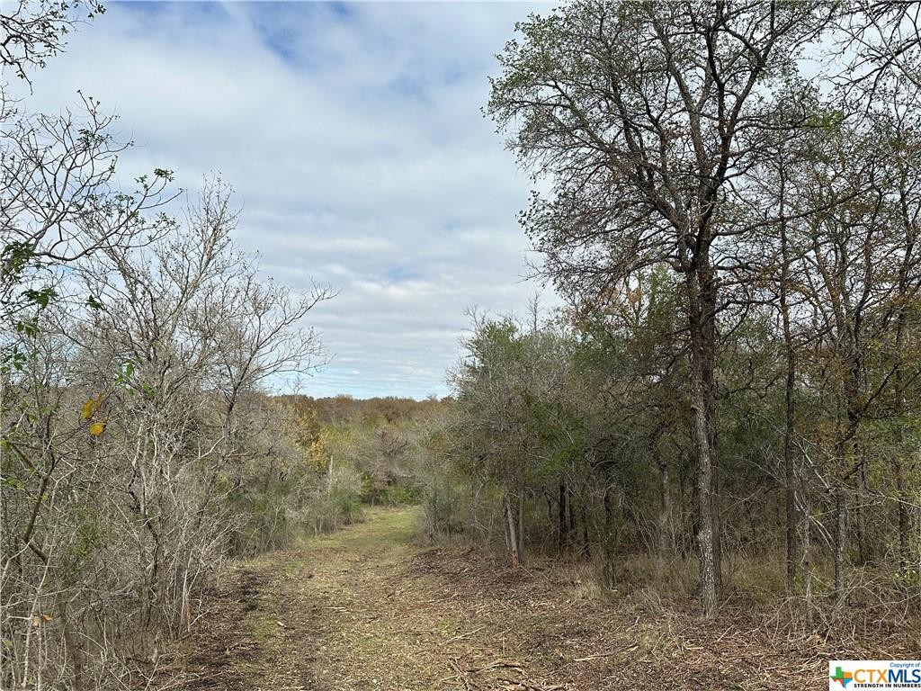 17800 E Fm 2268, Holland, Texas, 76534, United States, ,Residential,For Sale,17800 E Fm 2268,1413367