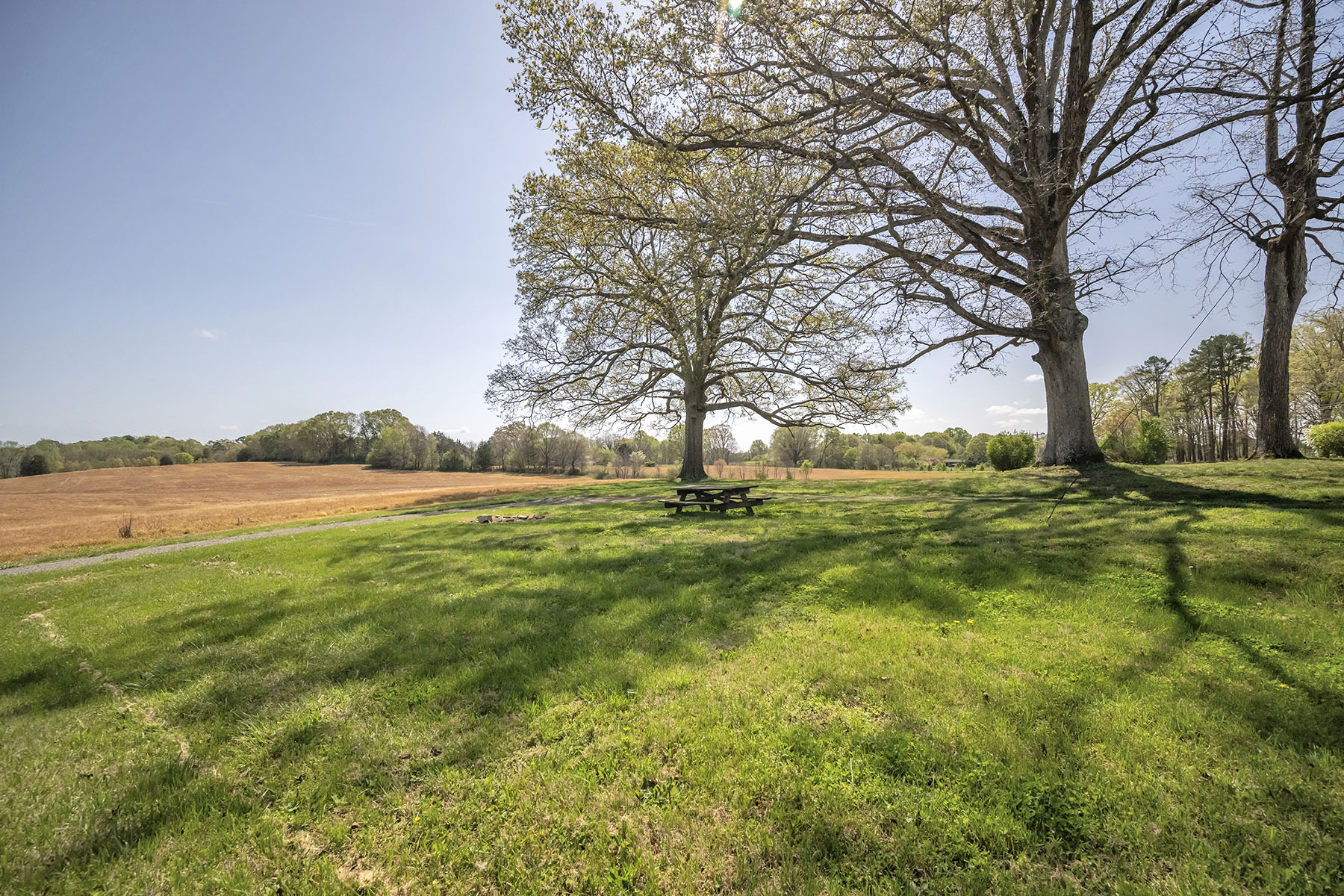  Albemarle - 物件實景