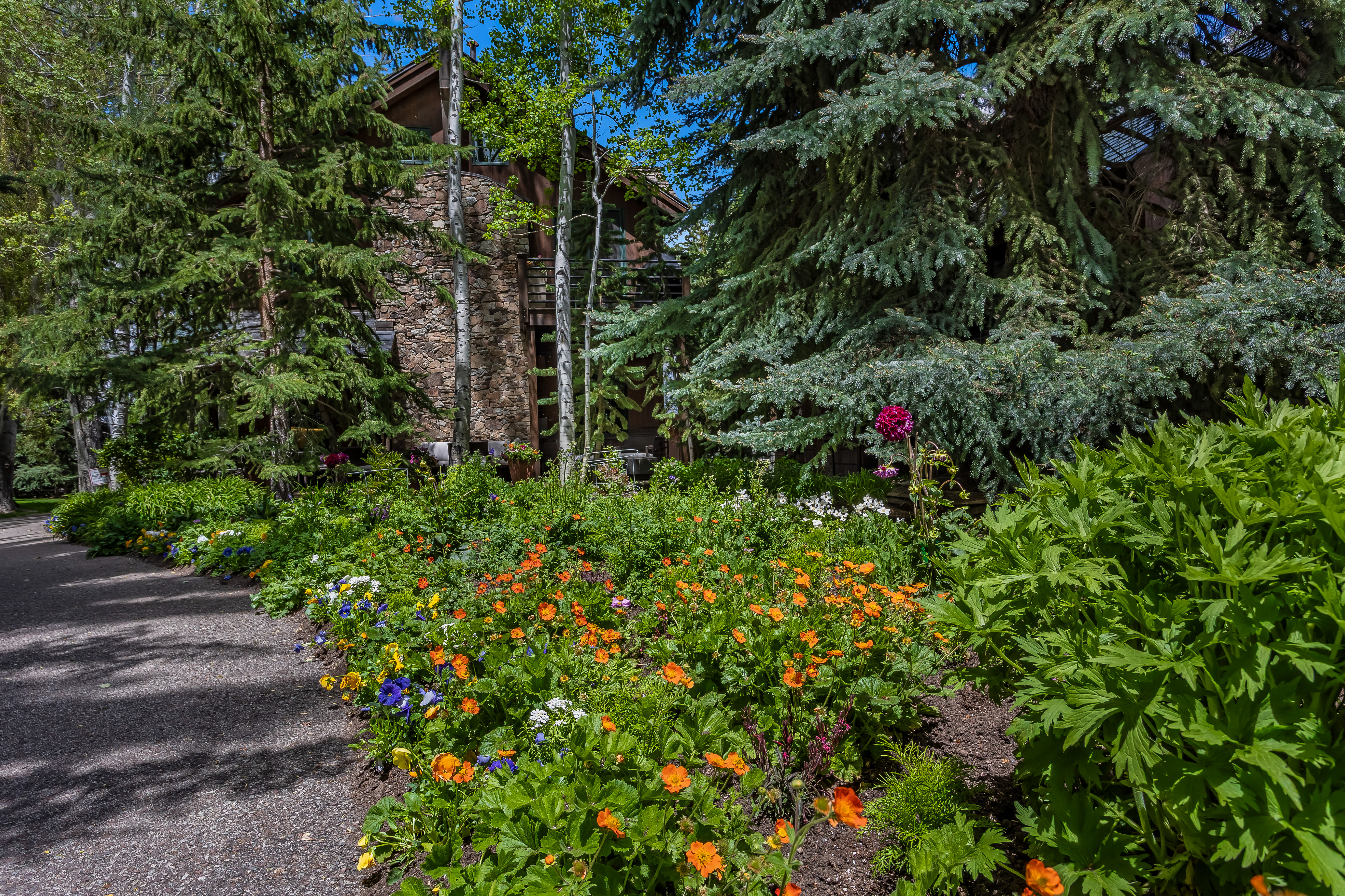  West Aspen Tranquility - 物件實景