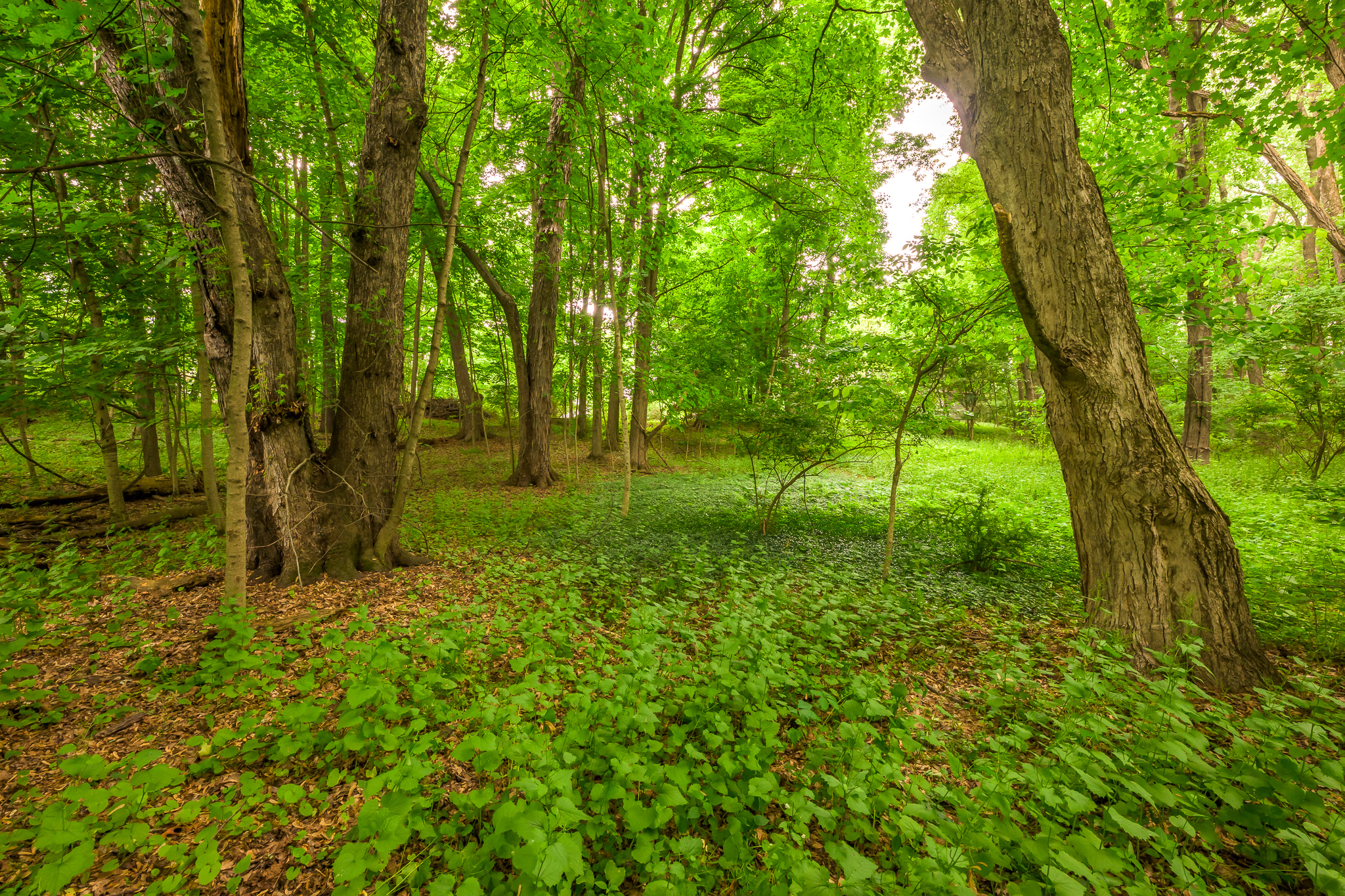  24 Albany Avenue, Kinderhook, NY 12106 - 物件實景