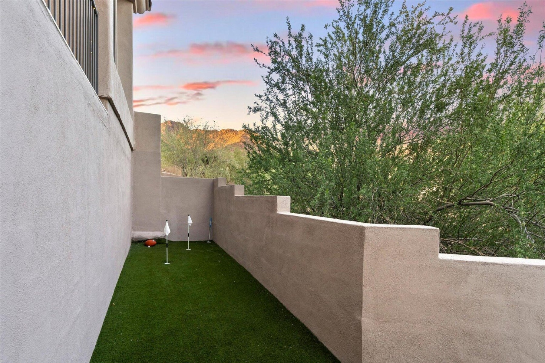  12411 N 133rd Place ¦Scottsdale, AZ - 物件實景