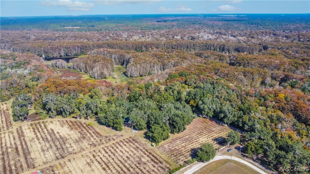 Inverness, Florida, 34450, United States, 4 Bedrooms Bedrooms, ,7 BathroomsBathrooms,Residential,For Sale,2005409