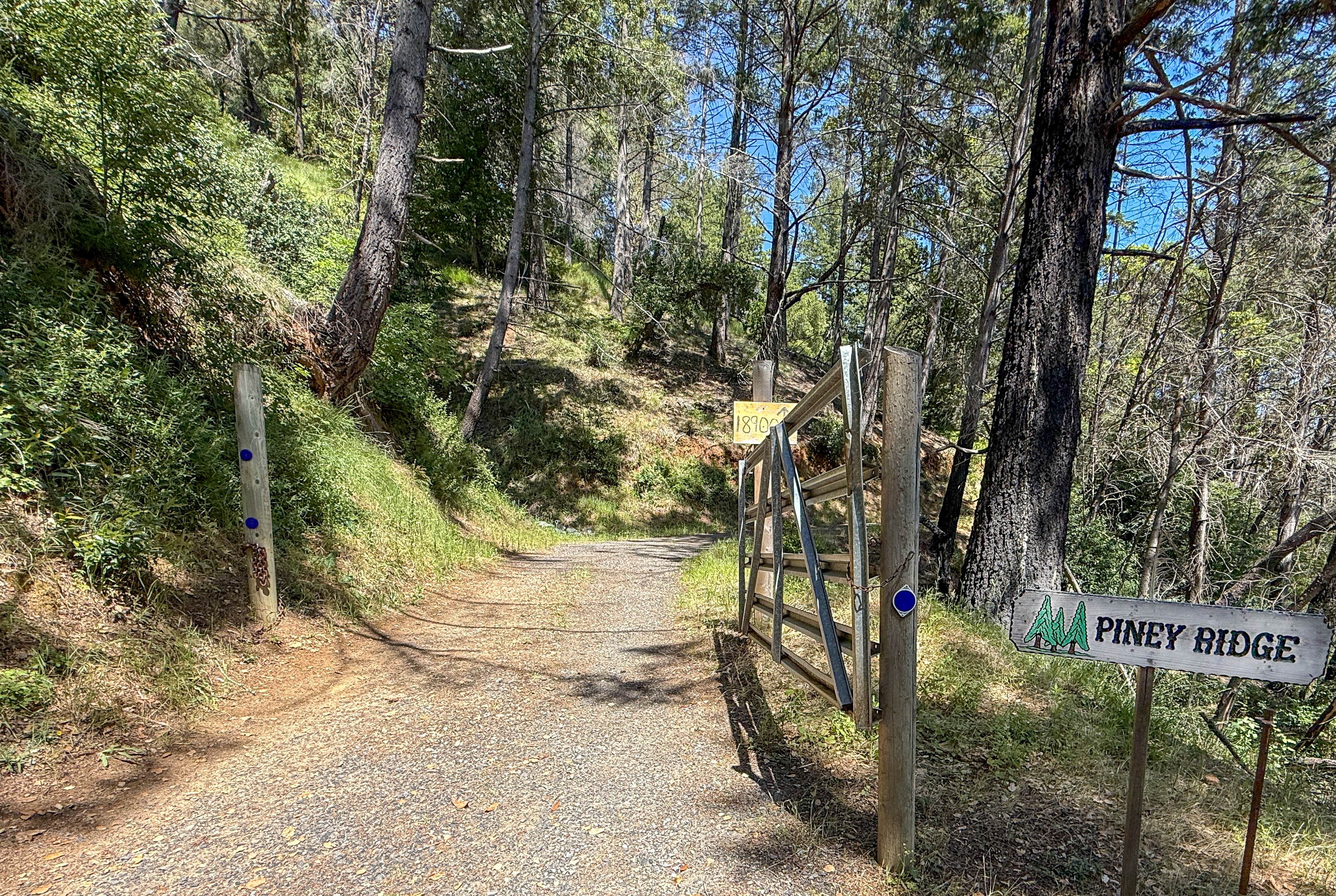  18900 Armstrong Woods Road, Guerneville, CA 95446 - 物件實景