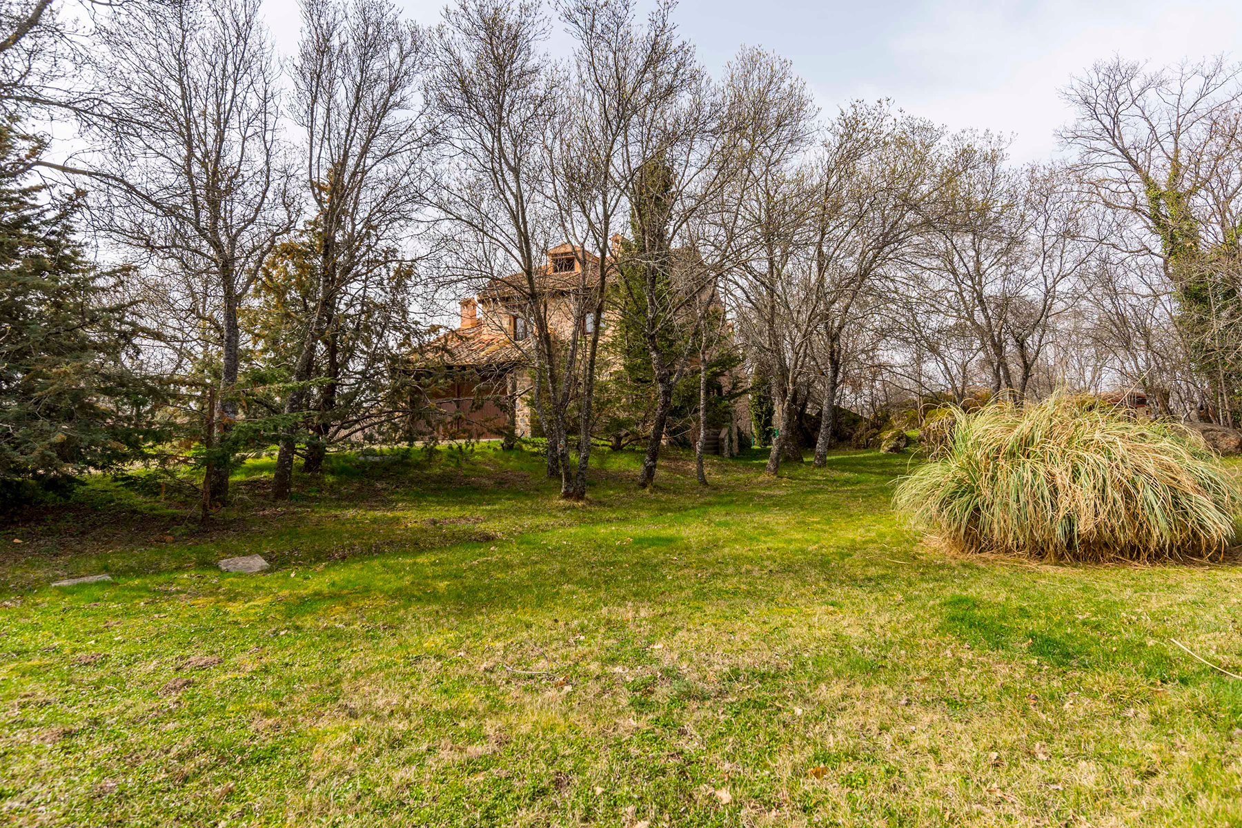  Spectacular estate for promotion in Sotosalbos, Segovia - 物件實景