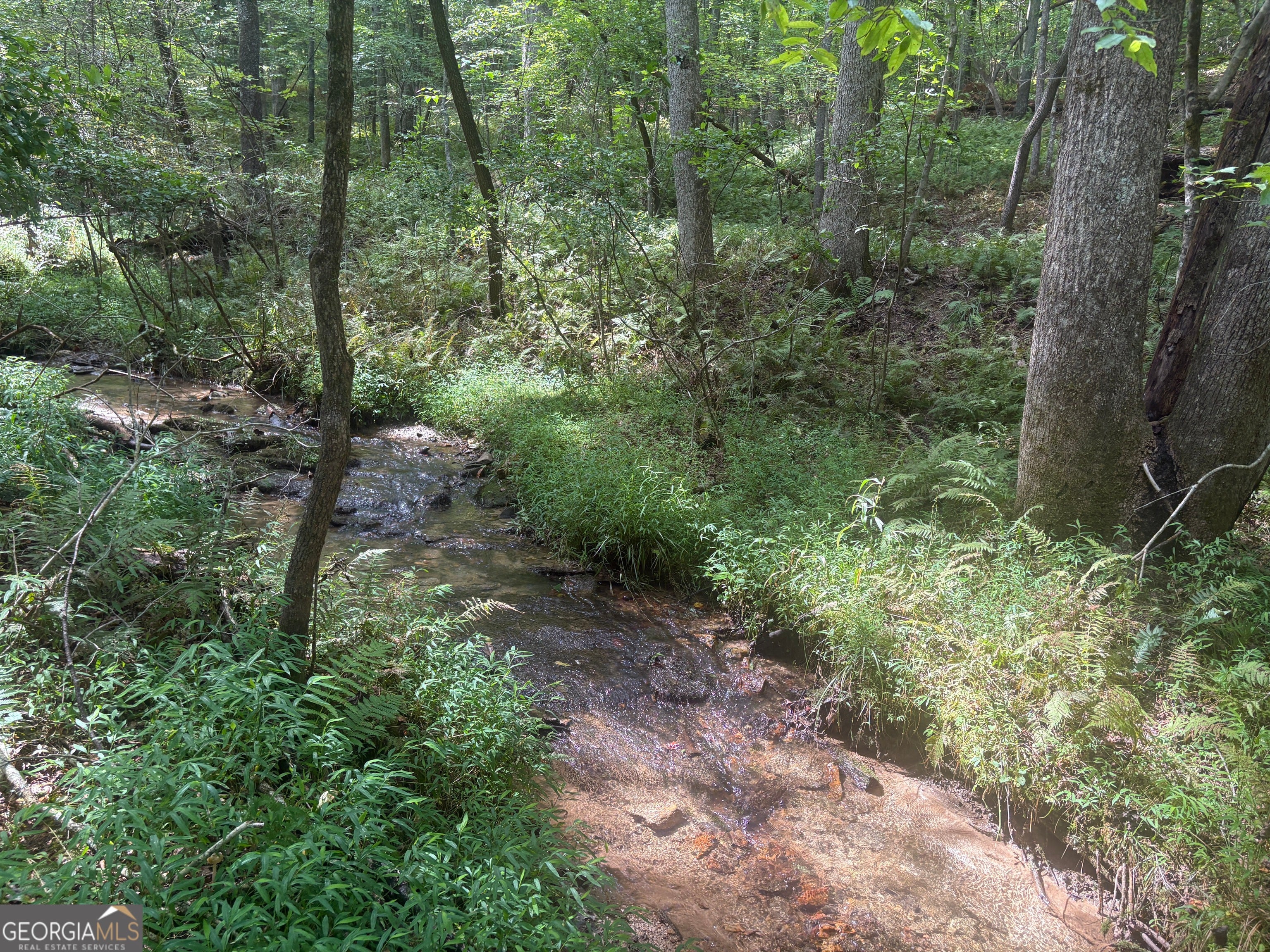 Blue Ridge, Georgia, 30513, United States, 4 Bedrooms Bedrooms, ,3 BathroomsBathrooms,Residential,For Sale,1919420