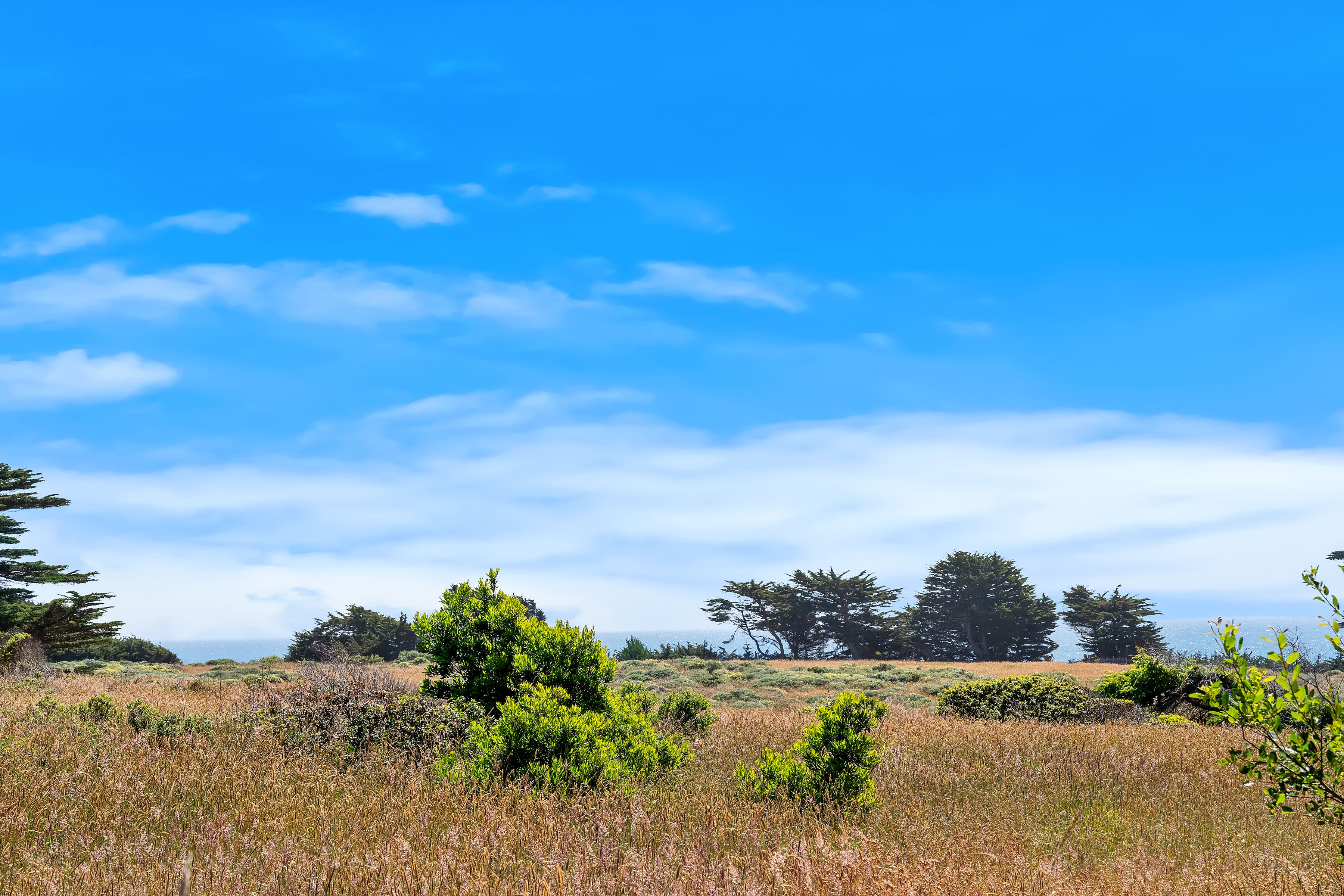  35926 Seaward Ranch, The Sea Ranch, CA 95497 - 物件實景