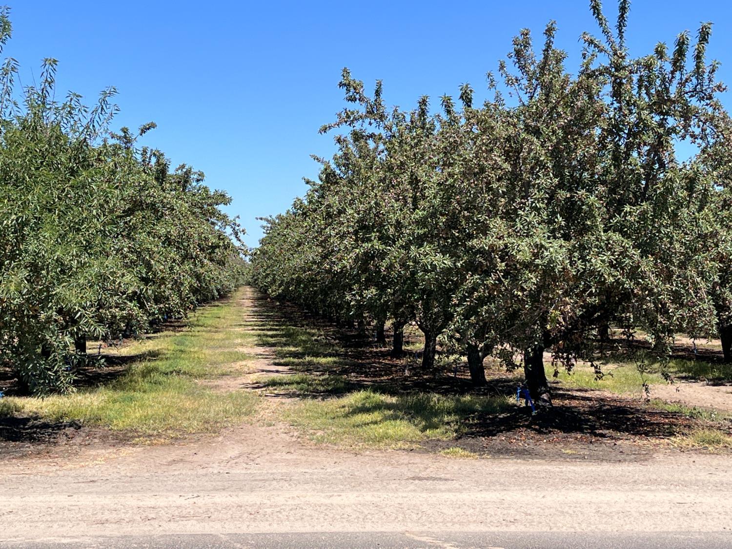 Livingston, California, 95334, United States, 3 Bedrooms Bedrooms, ,2 BathroomsBathrooms,Residential,For Sale,1983091