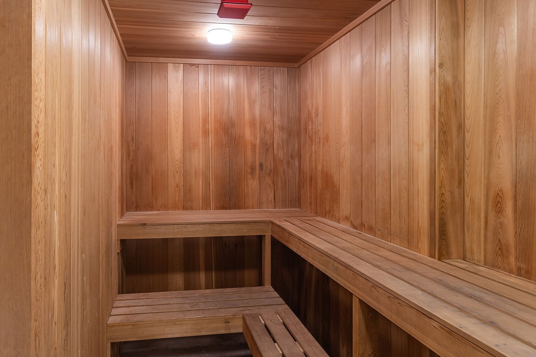  Luxurious Expansive Condo - 物件實景