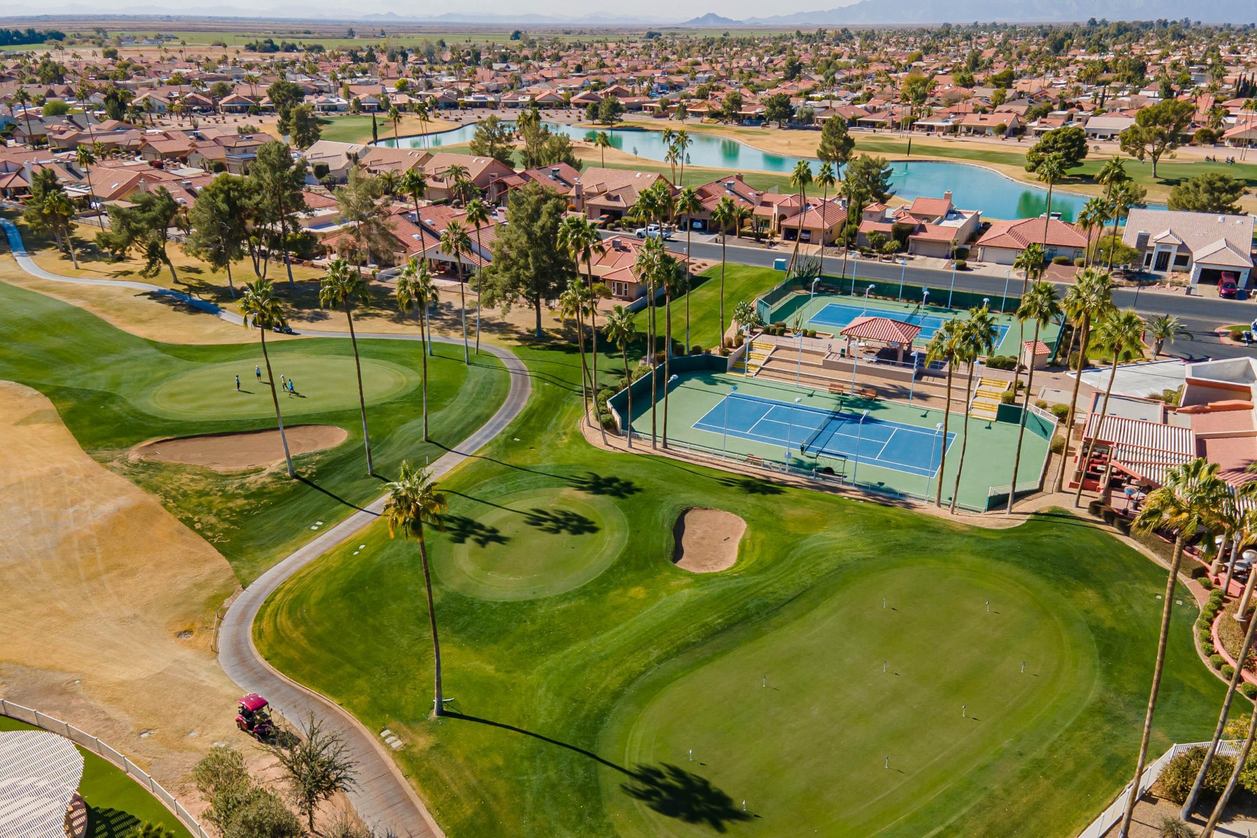  26202 S Flame Tree Drive  Sun Lakes, AZ - 物件實景