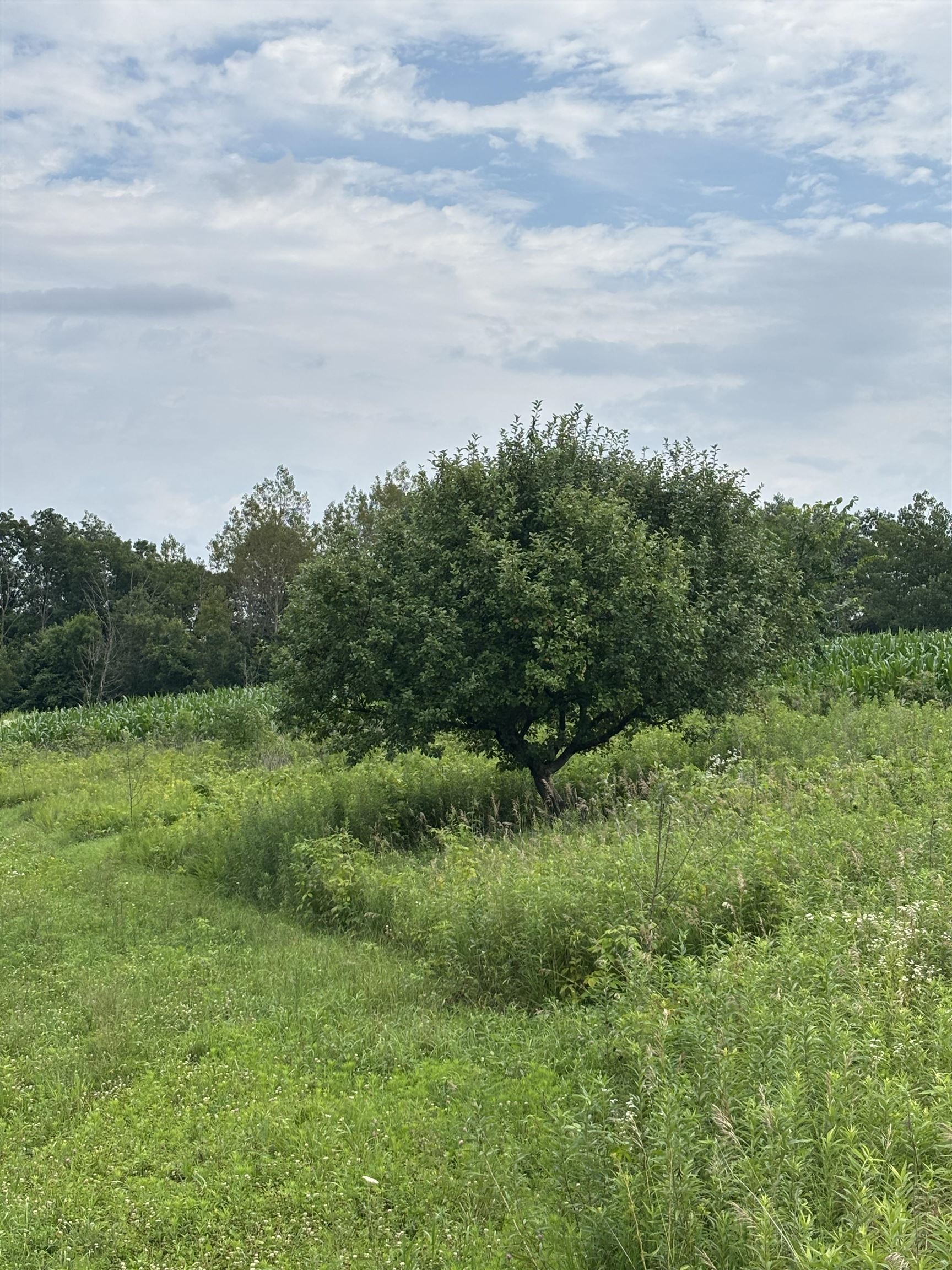 Gays Mills, Wisconsin, 54631, United States, ,Residential,For Sale,1928729