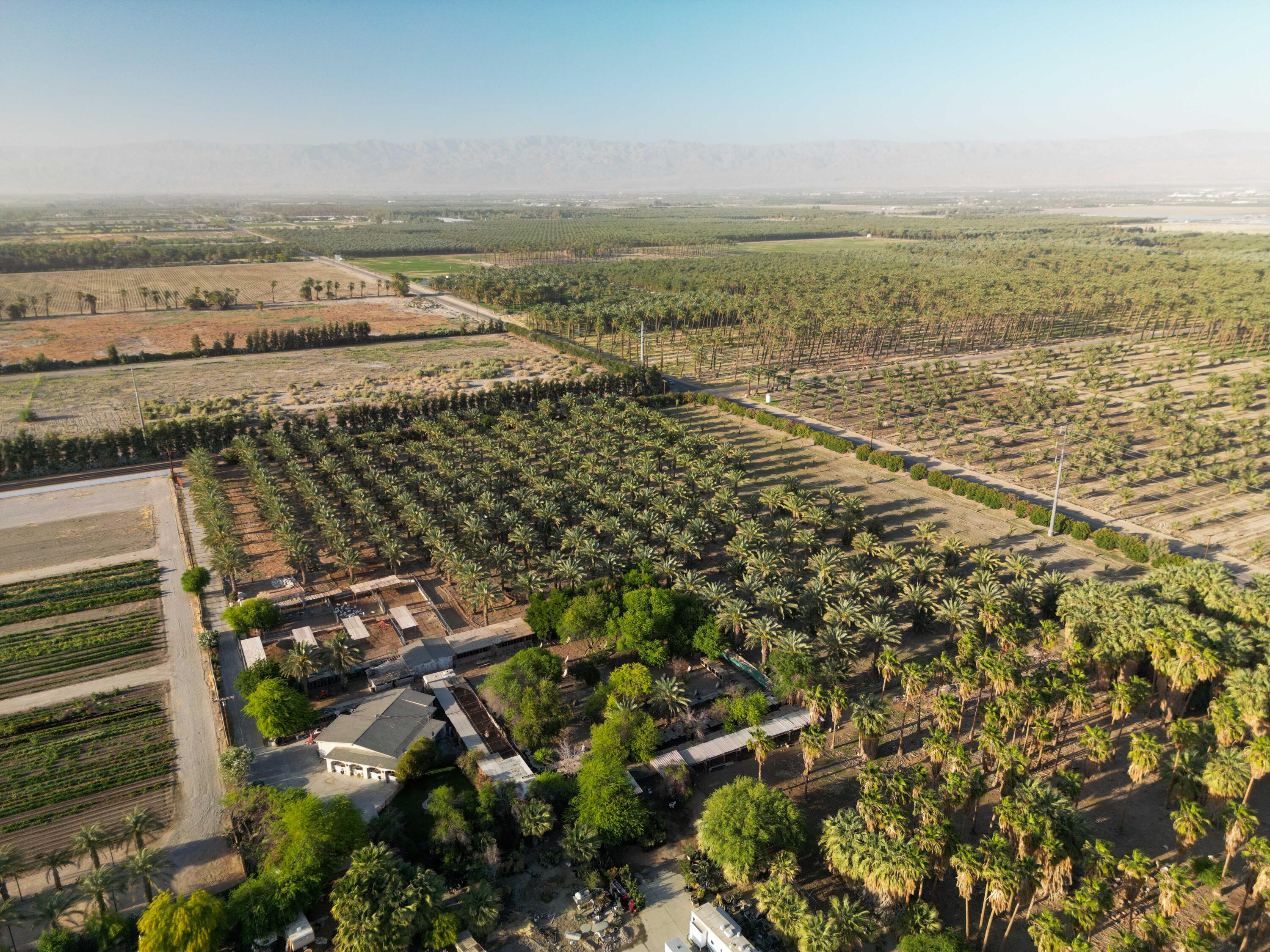 Thermal, California, 92274, United States, ,Land,For Sale,2006588