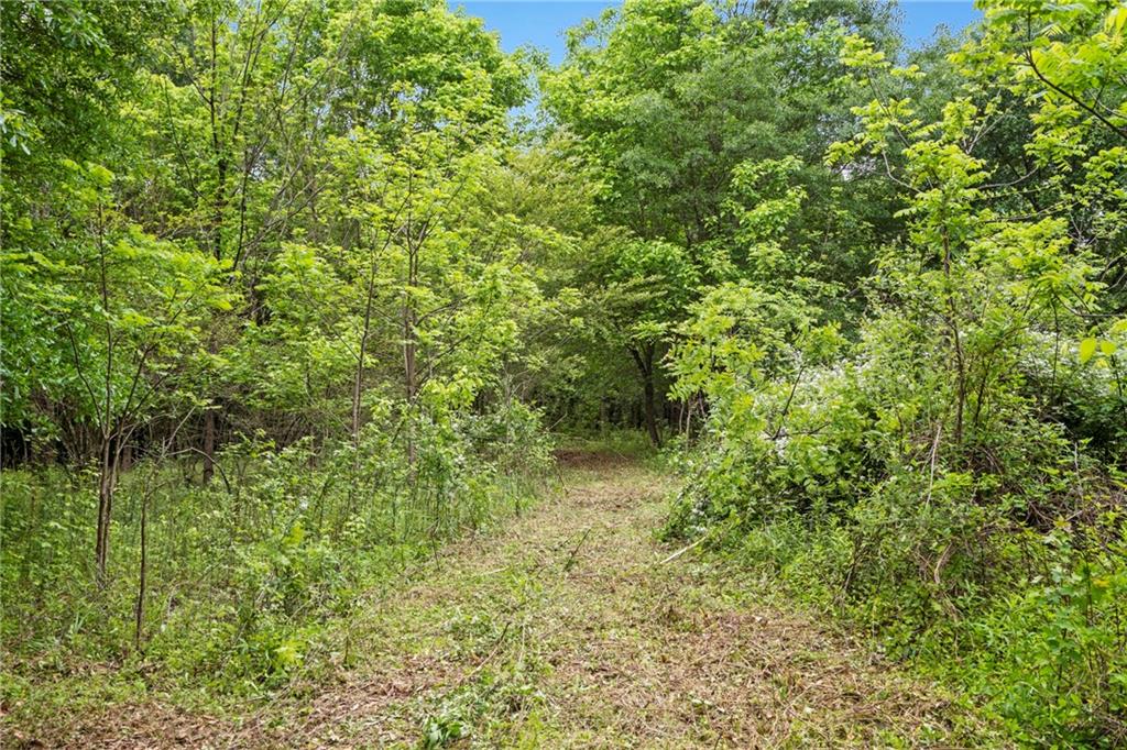 Alpharetta, Georgia, 30004, United States, ,Land,For Sale,1793114