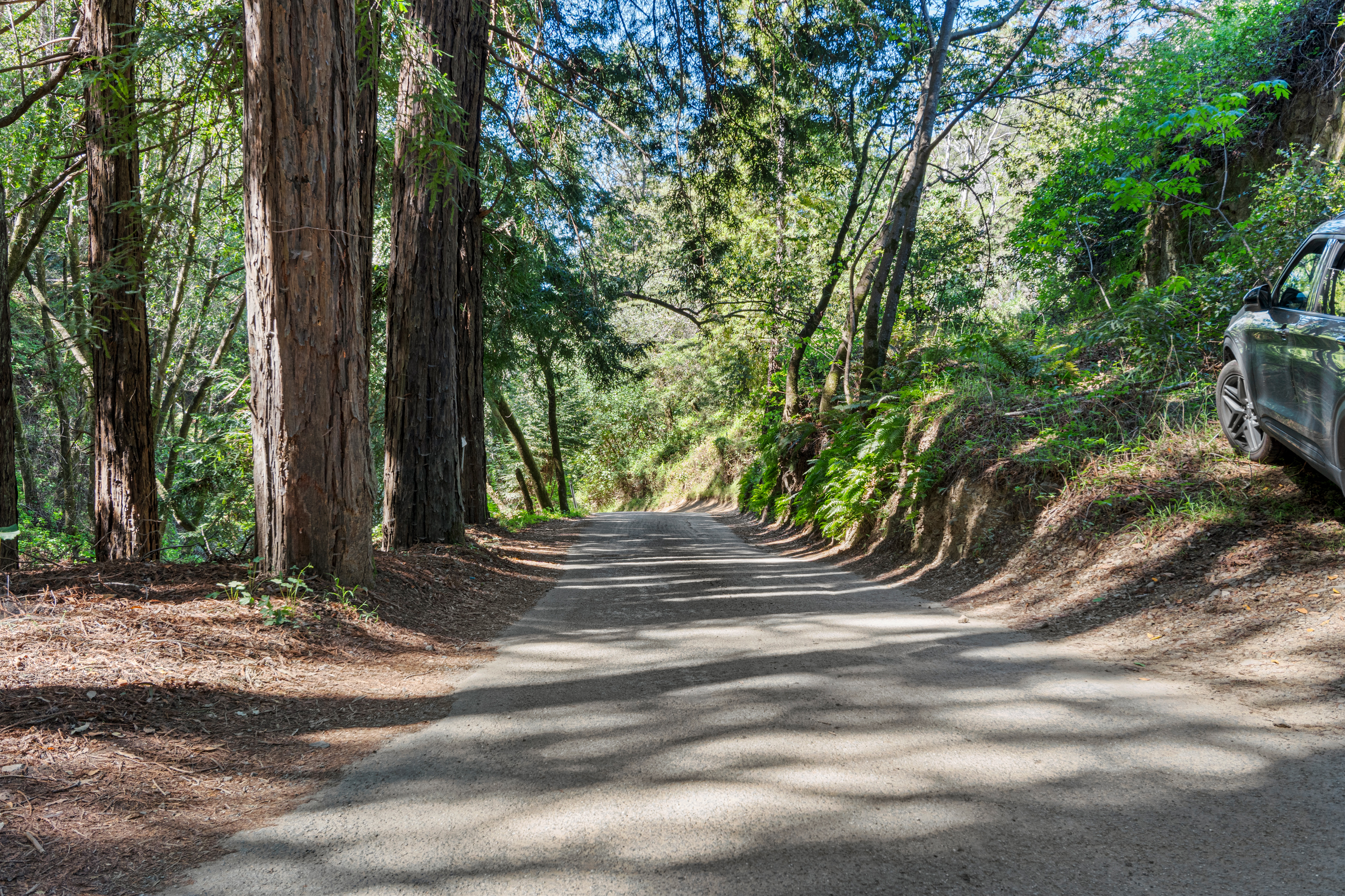  0 Sycamore Cyn Road - 物件實景