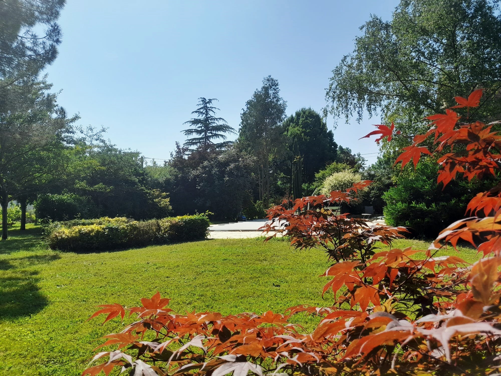  Maison - 物件實景