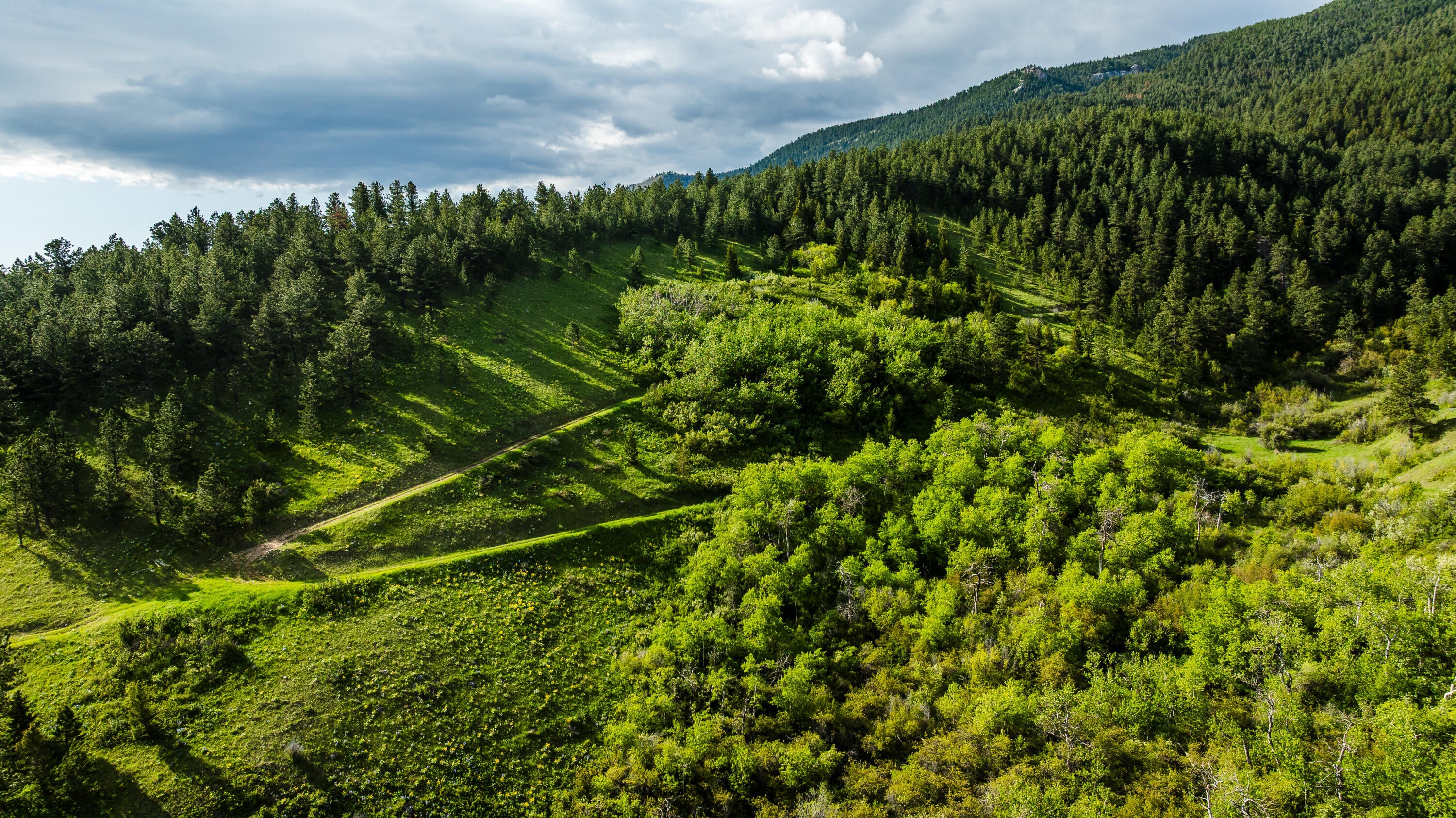 Big Horn, Wyoming, 82833, United States, ,Residential,For Sale,2011314