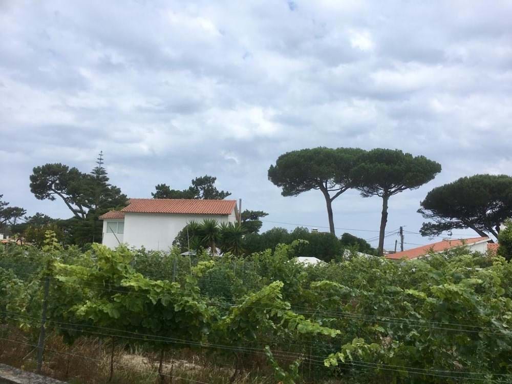 Sintra, Lisbon, 2705-645, PT, ,Land,For Sale,1698762