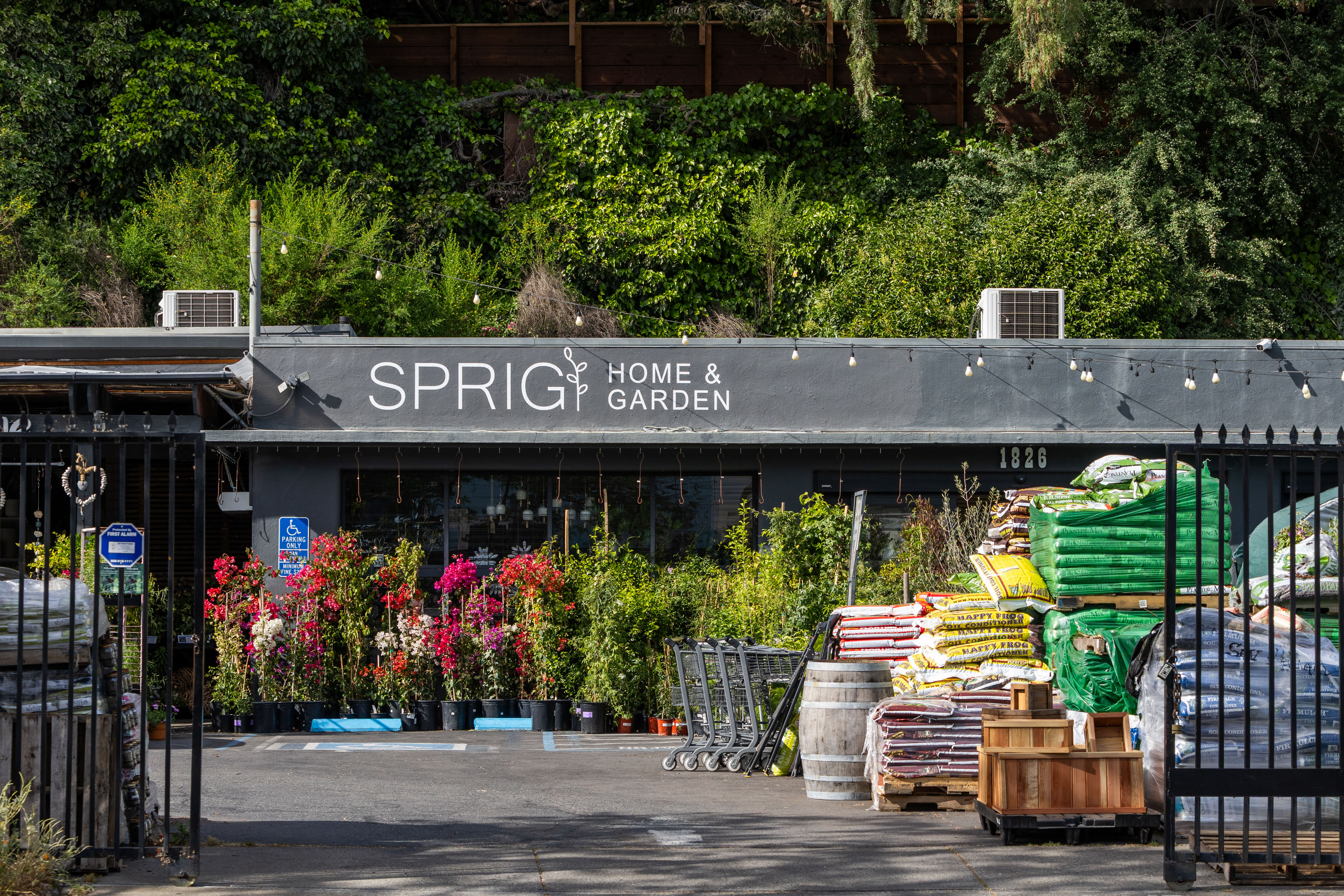  Mid-Century Design and Natural Tranquility in San Rafael’s West End - 物件實景