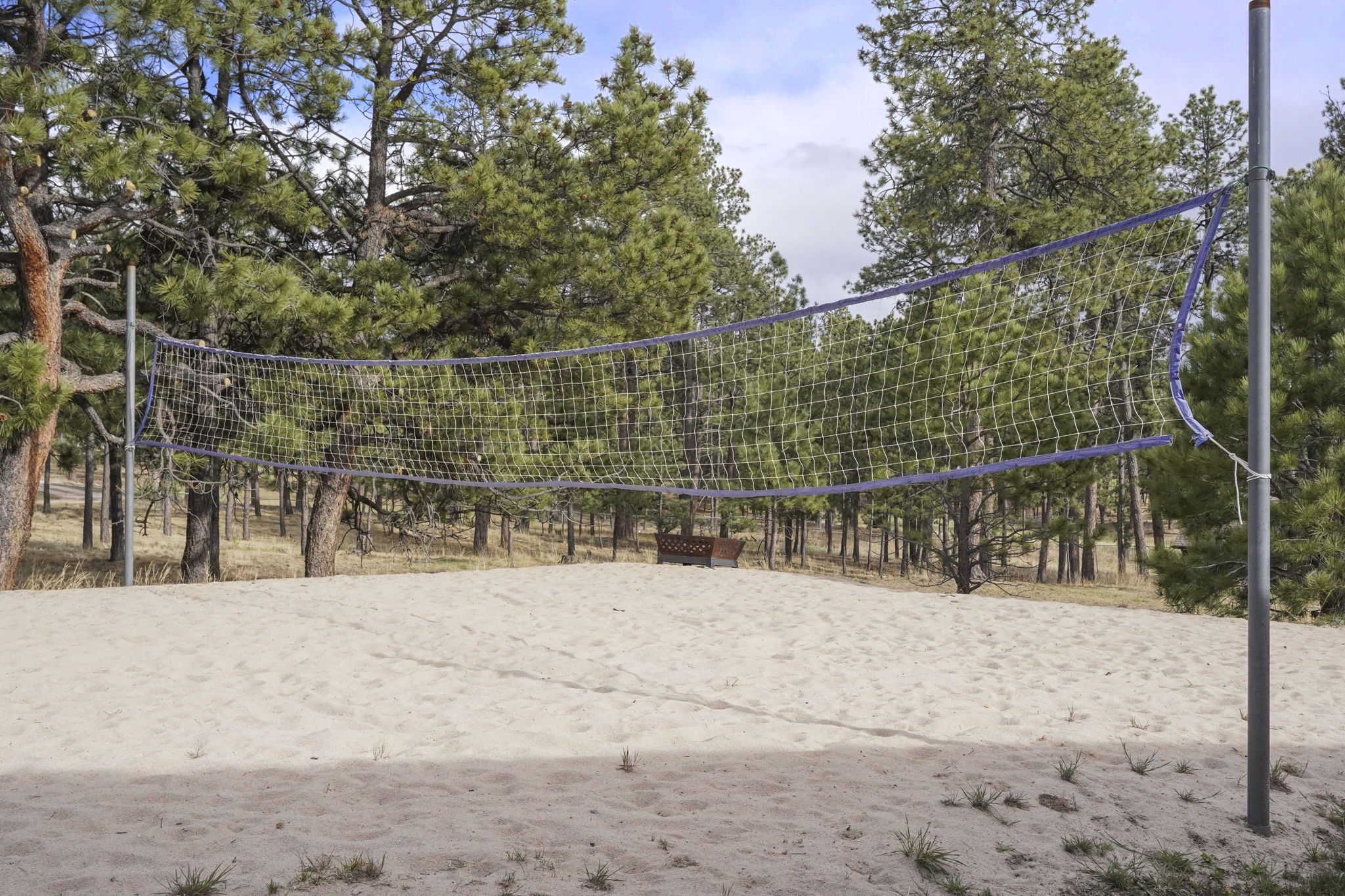  Sought after southwest Black Forest location including two lots - 物件實景