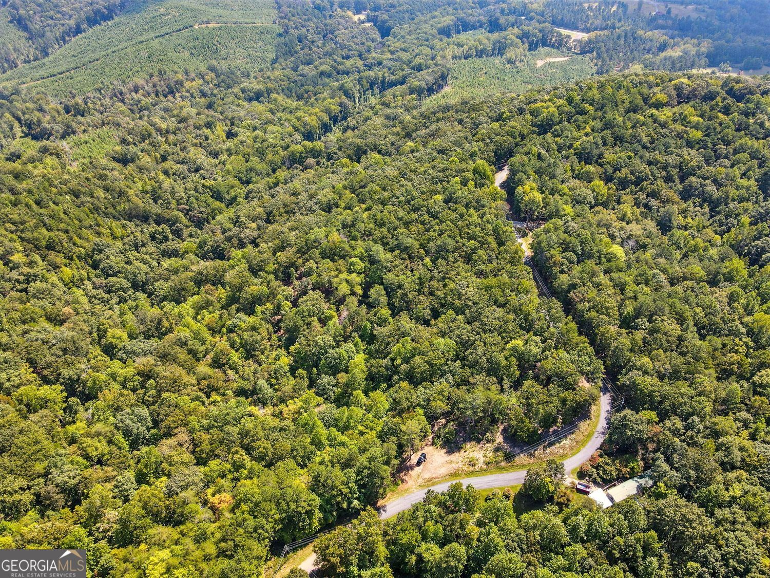 Waleska, Georgia, 30183, United States, ,Land,For Sale,1929808