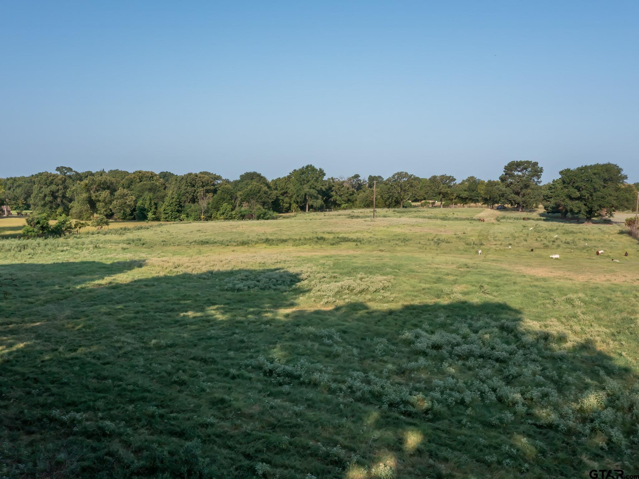 Chandler, Texas, 75758, United States, ,Land,For Sale,1826674