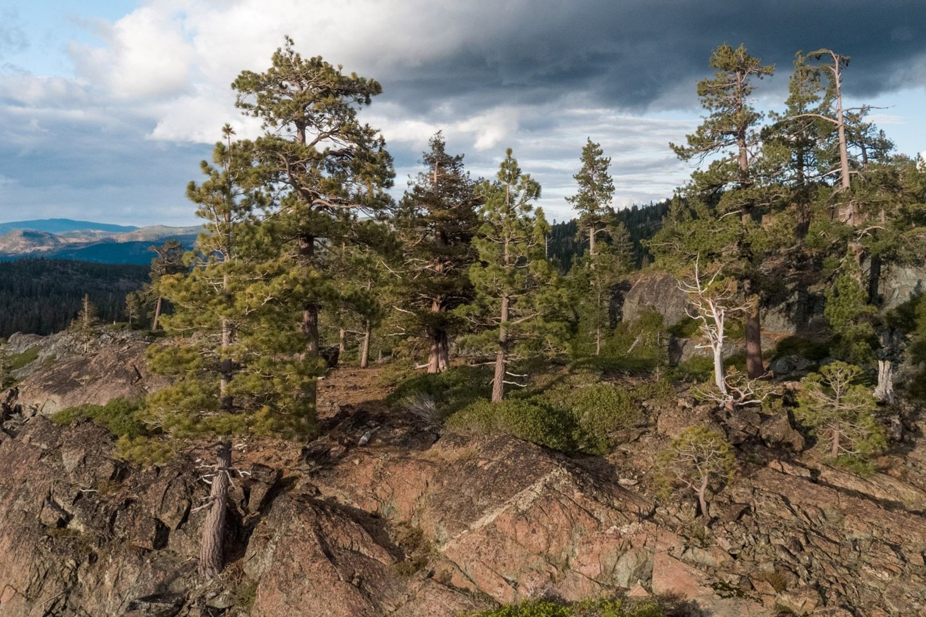  where  frank lloyd wright design meets mountain luxury - 物件實景