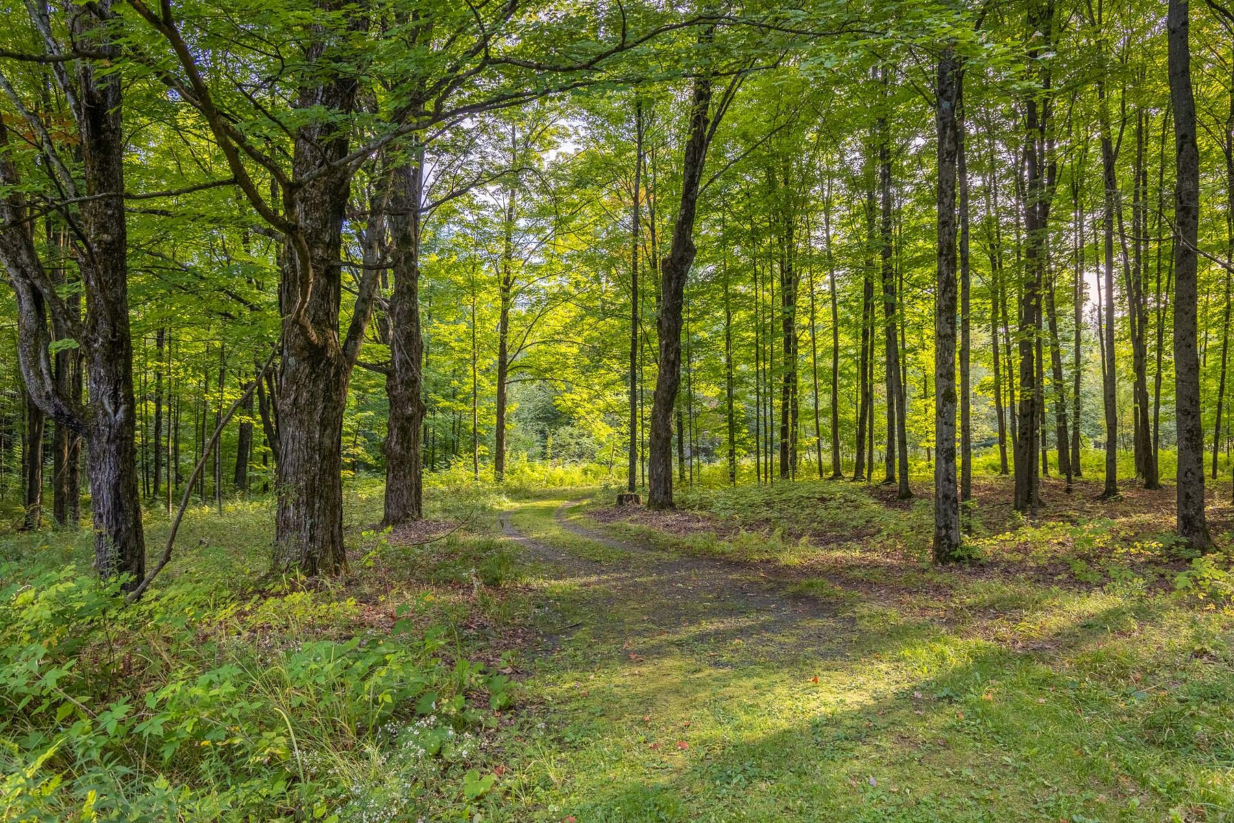  Shefford, Eastern Townships - 物件實景