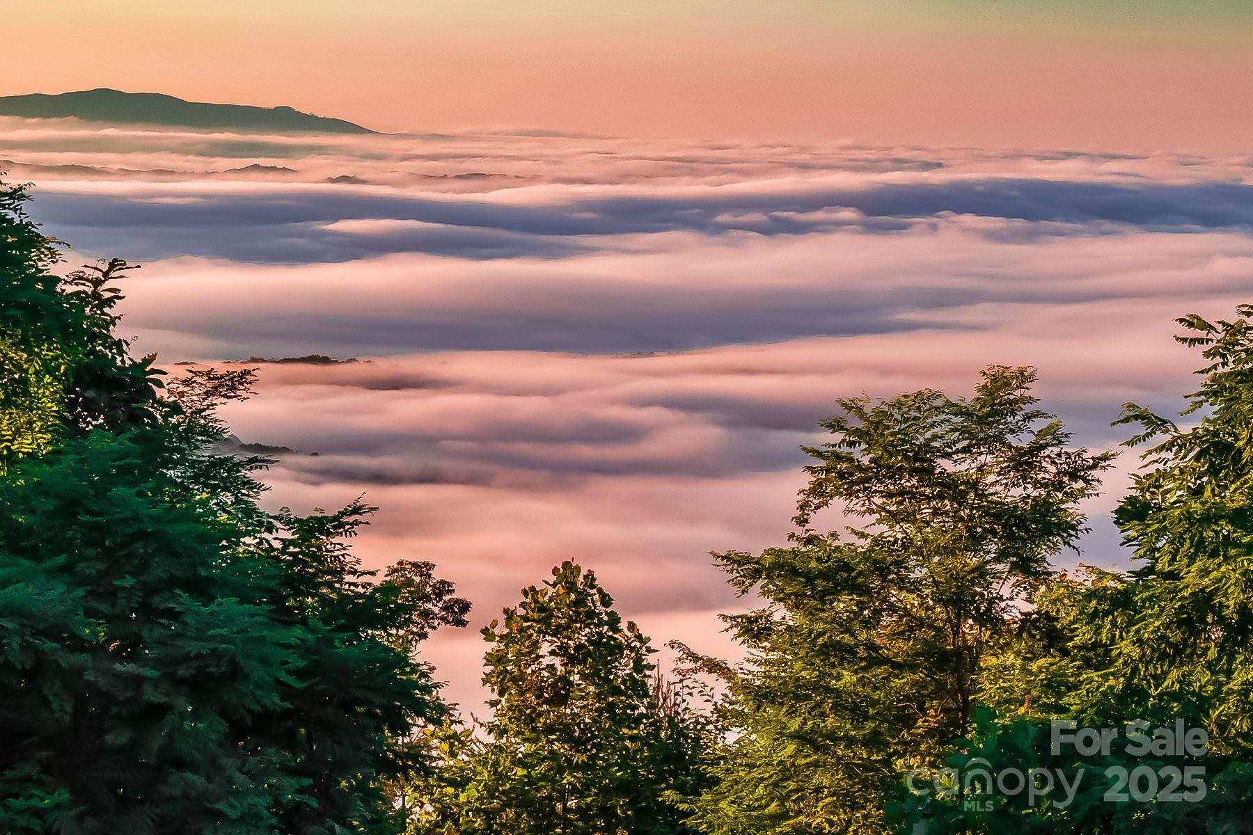 Union Mills, North Carolina, 28167, United States, ,Land,For Sale,1983809