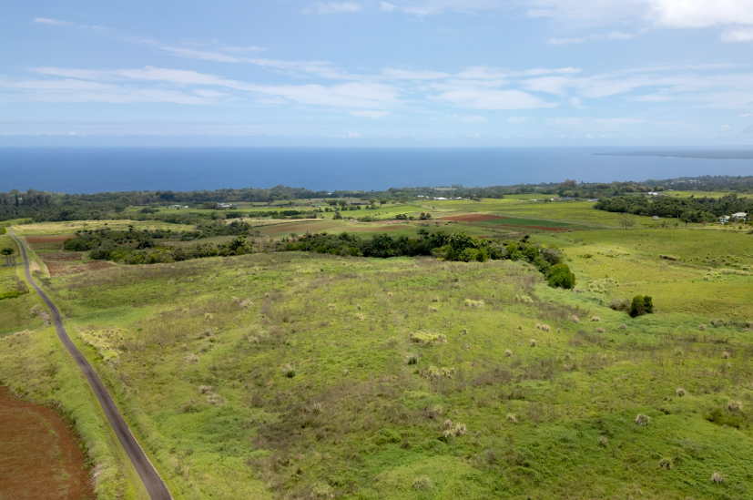 Pepeekeo, Hawaii, 96783, United States, ,Residential,For Sale,1943920