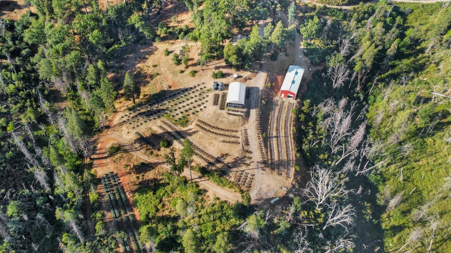 Mountain Ranch, California, 95246, United States, ,Land,For Sale,1981446