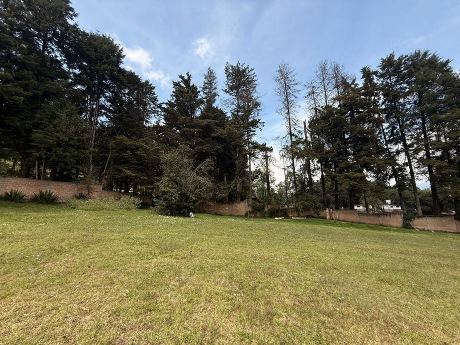 Valle de Bravo, Estado de méxico, 51200, Mexico, 1 Bedroom Bedrooms, ,Residential,For Sale,1994447