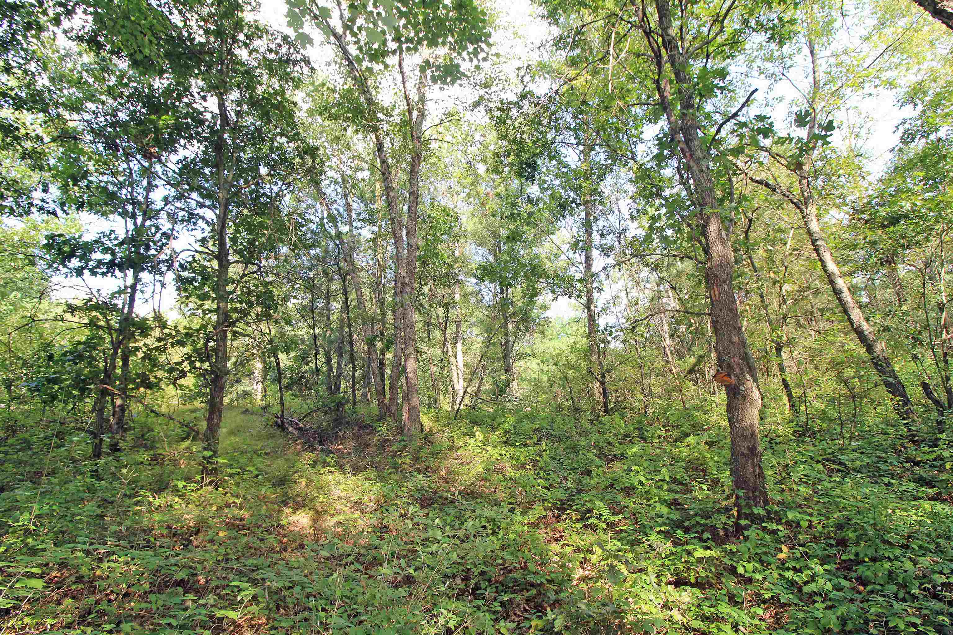 Arena, Wisconsin, 53503, United States, 3 Bedrooms Bedrooms, ,2 BathroomsBathrooms,Residential,For Sale,1980037