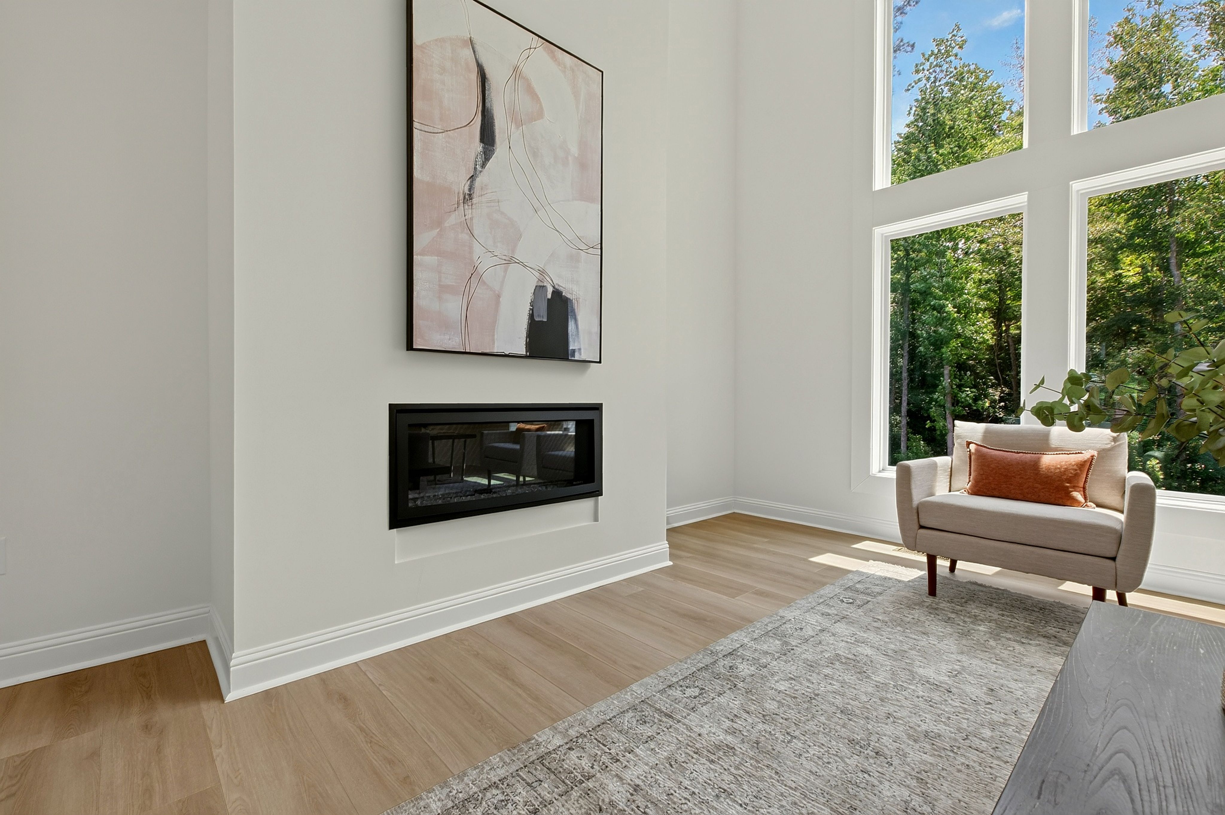  197 Silverside Drive, Angier, NC 27501 - 物件實景