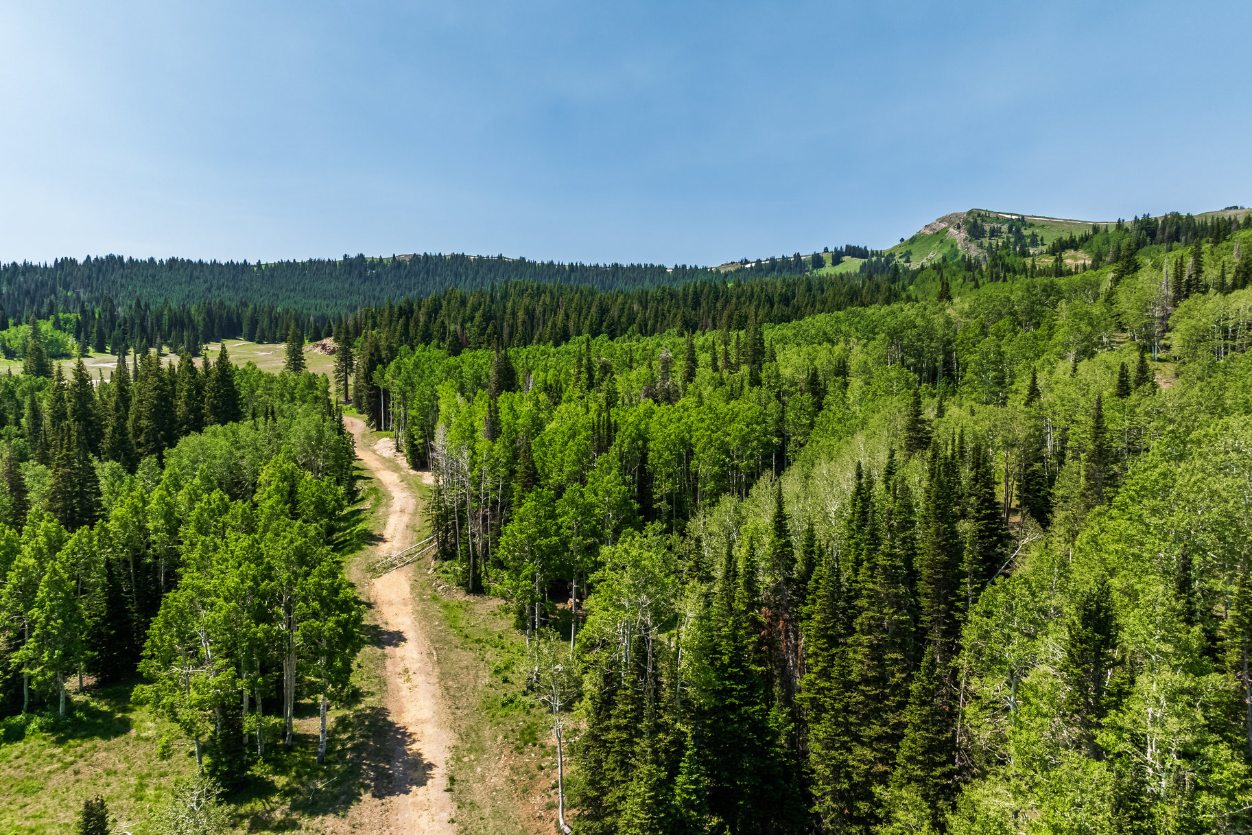  Incredible 28 Acre Estate Lot in the Colony at White Pine Canyon - 物件實景