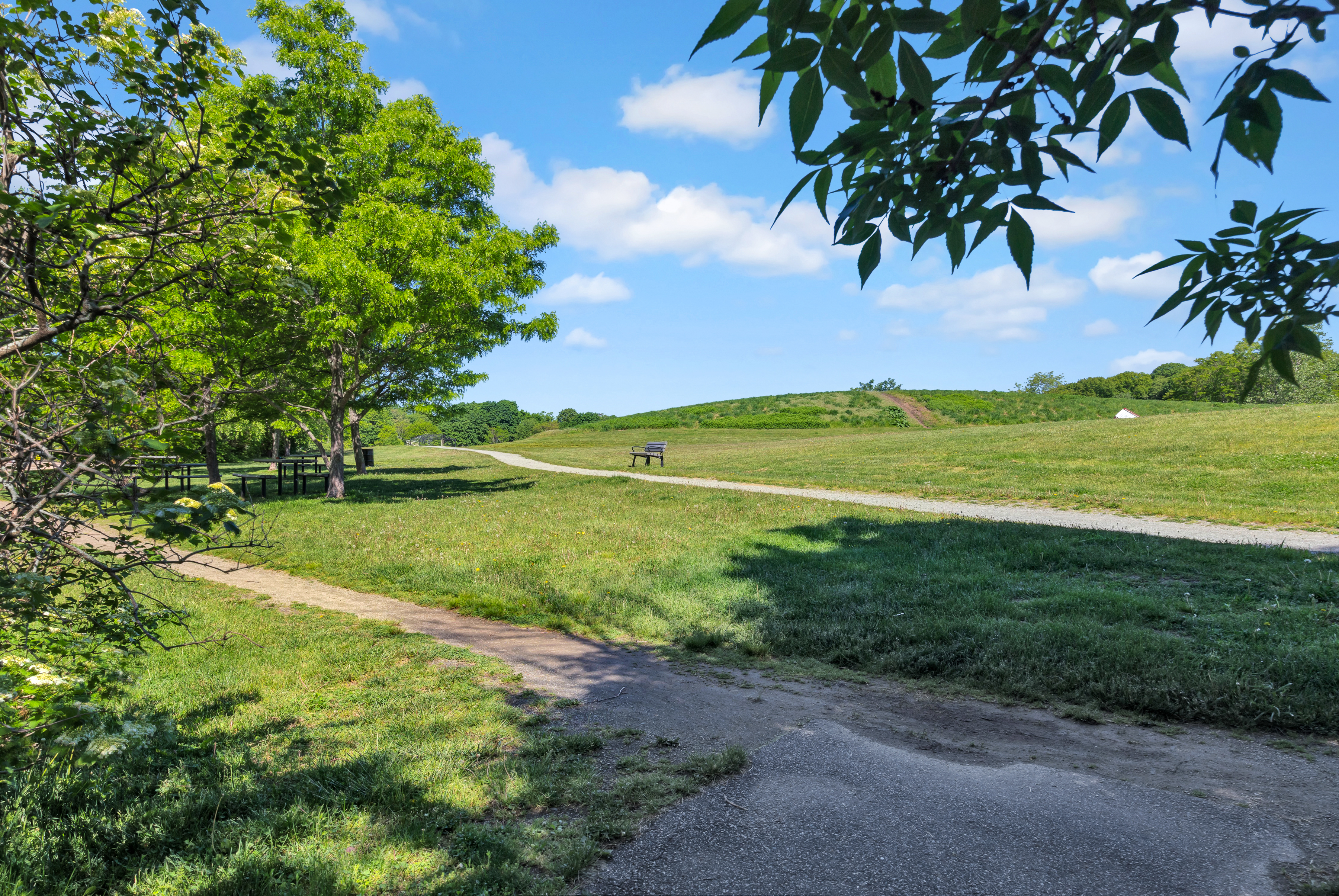  15 Berkeley Street, Arlington, MA, 02474 - 物件實景