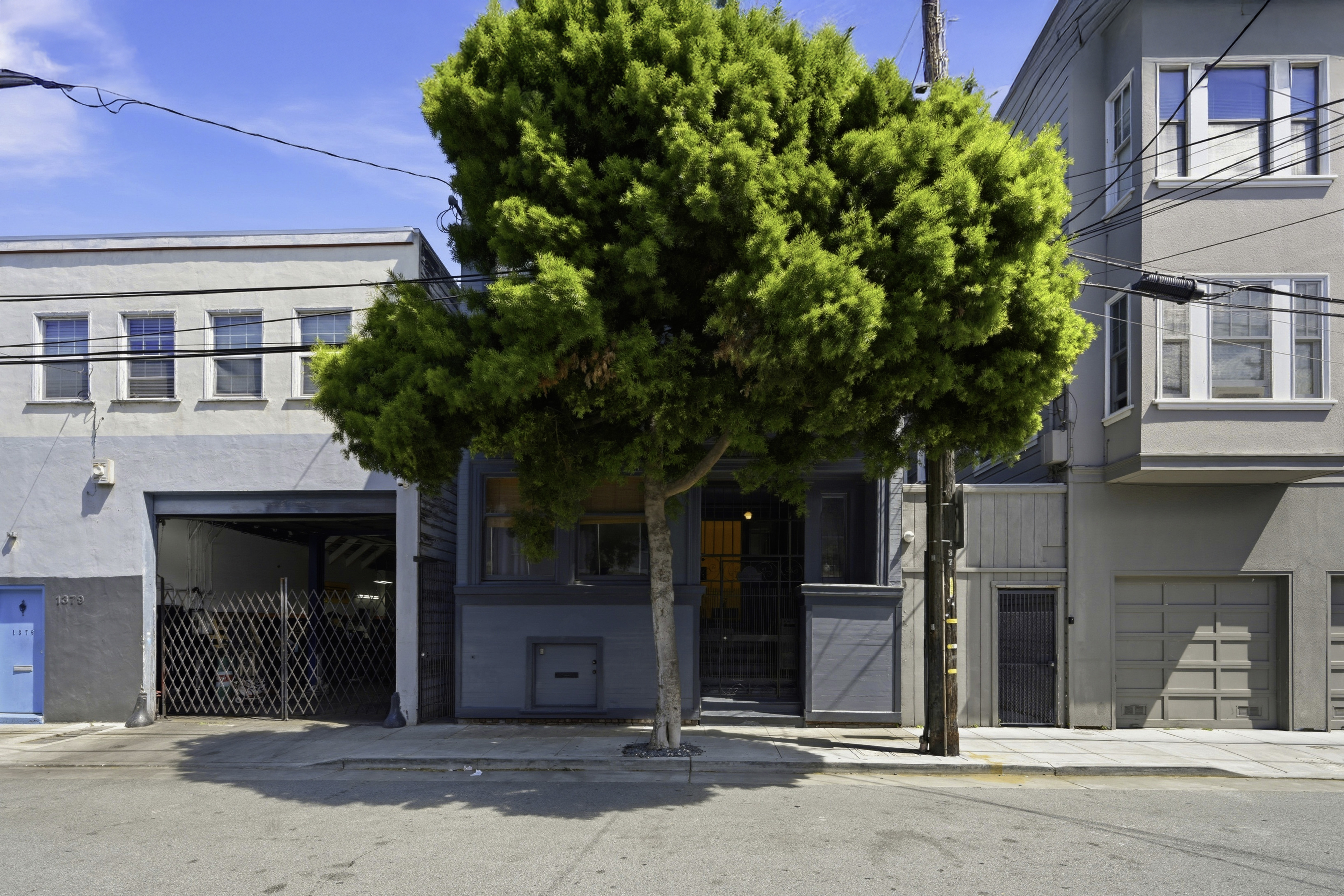  Period Charm Galore  Edwardian in the Mission - 物件實景