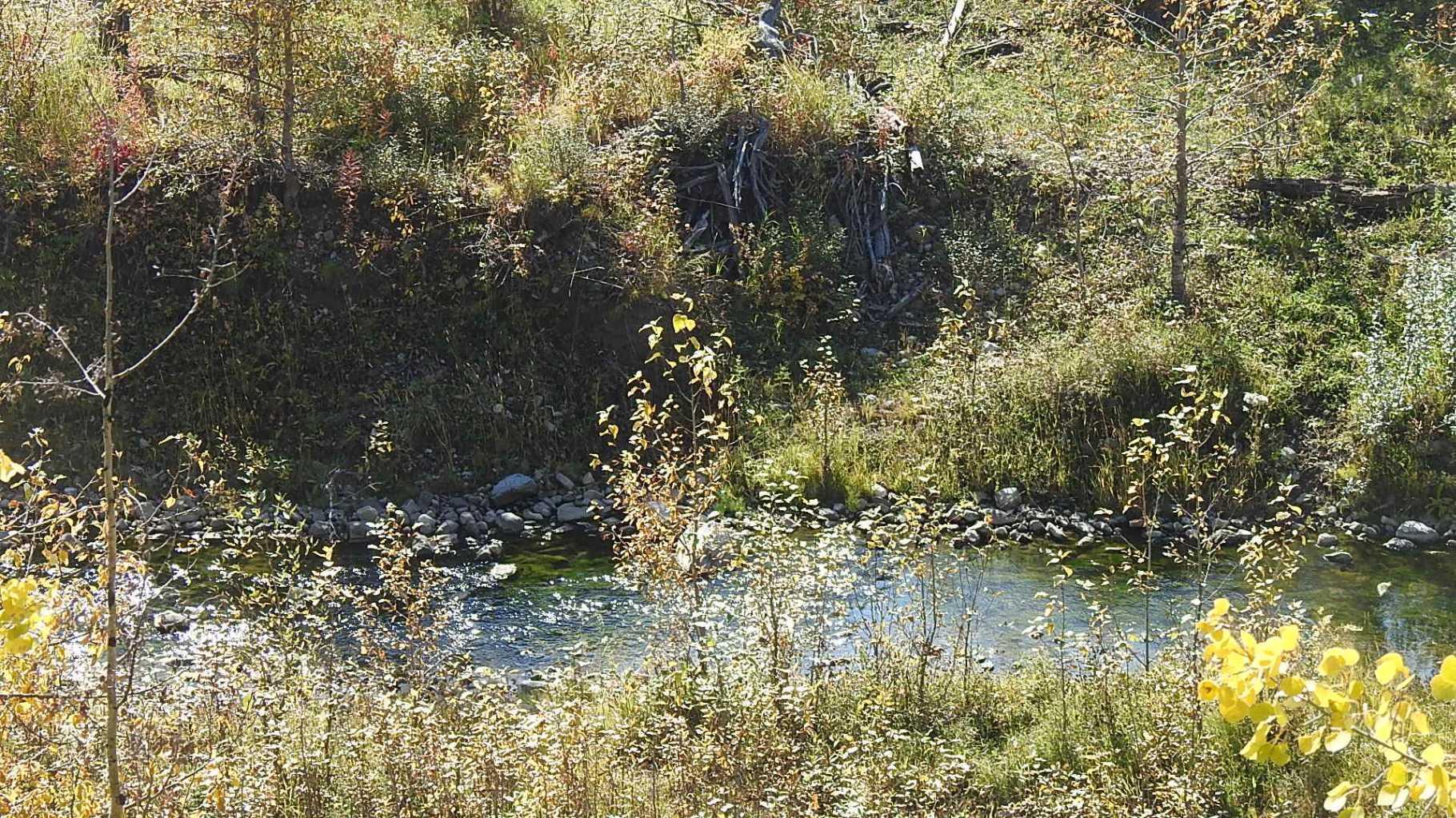 RURAL FOOTHILLS COUNTY, Alberta, T0L 1K0, CA, ,Residential,For Sale,1836944